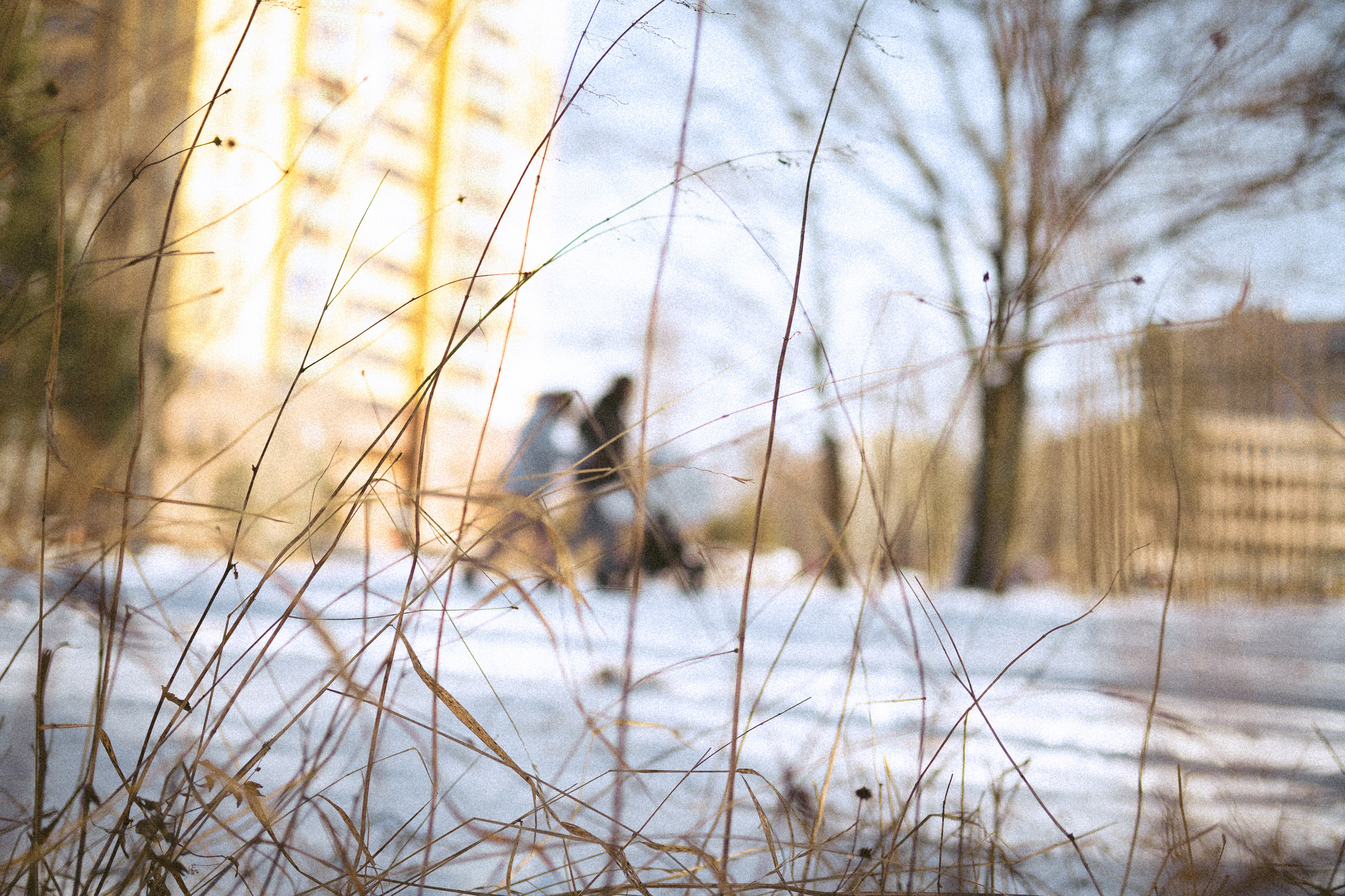 Слава, Полина и Тима, март 2021. Семейный фотограф Санкт-Петербург СПб Митрофанова Ольга