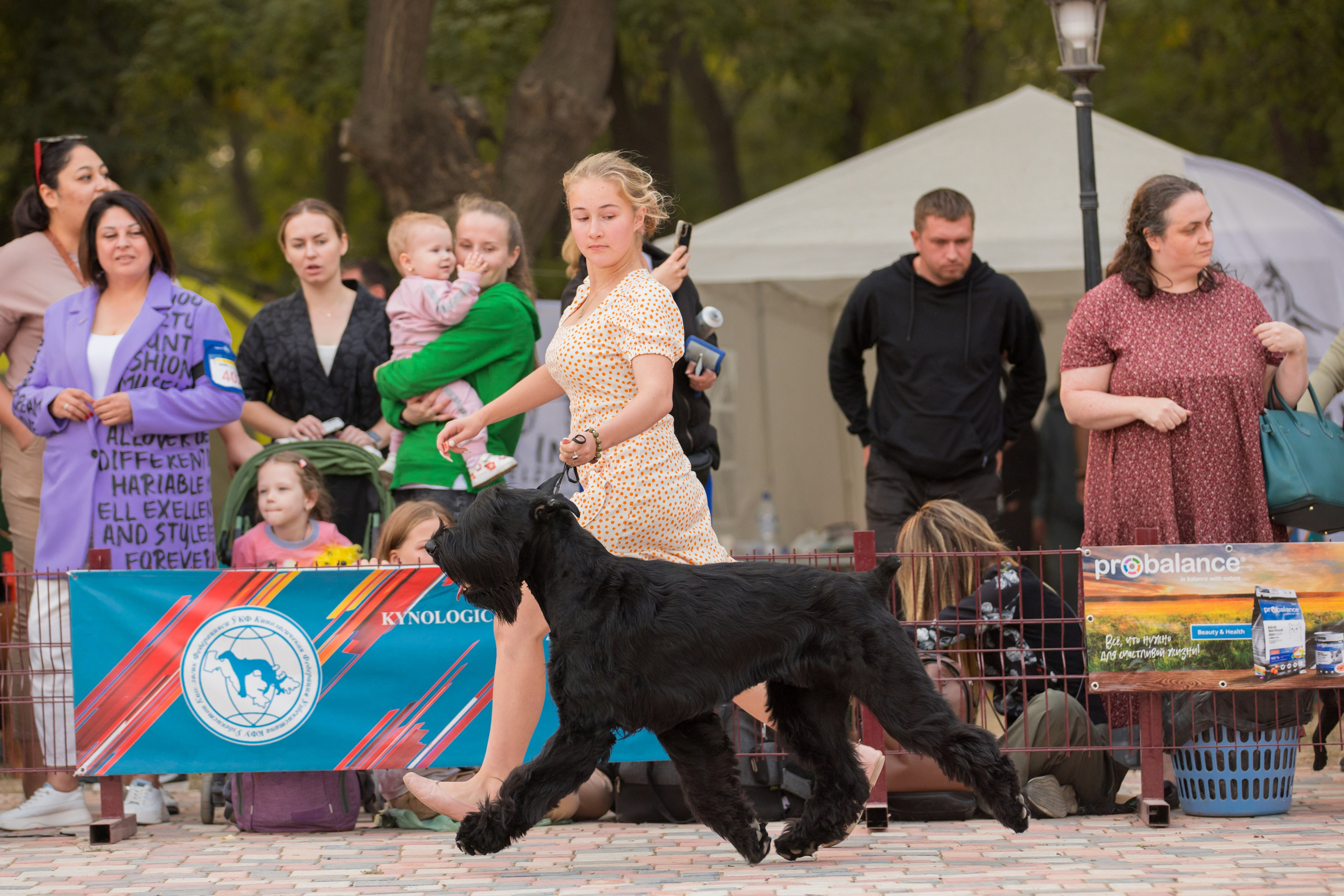 Ташкент 6-8.10.2023 + Алматы 14-15.10.2023. Фотограф-анималист Юлия Германика