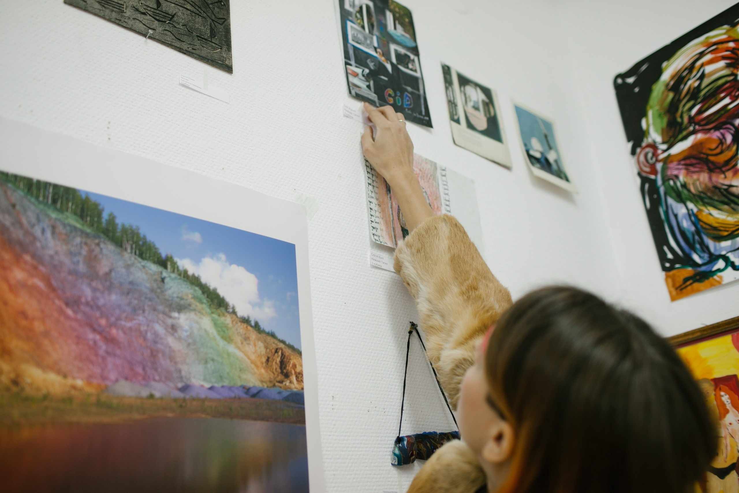 Акцион Кости. Акцион Кости - это игра на произведения искусства