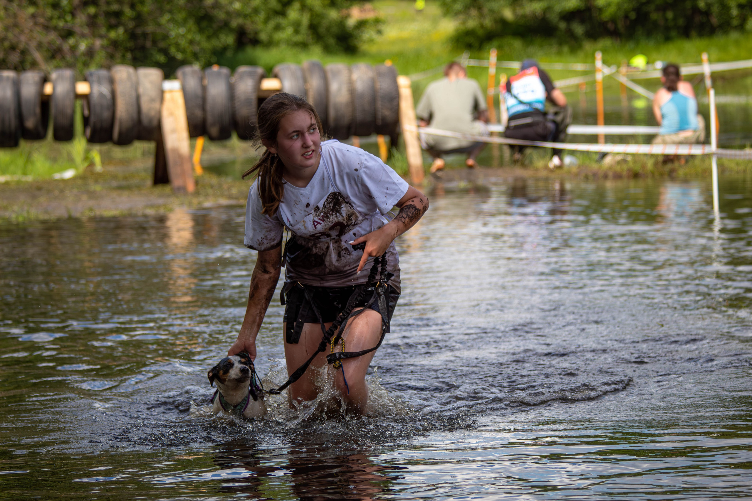 Хвостатый Драйв 2024. Фотограф анималист — Тула, Москва