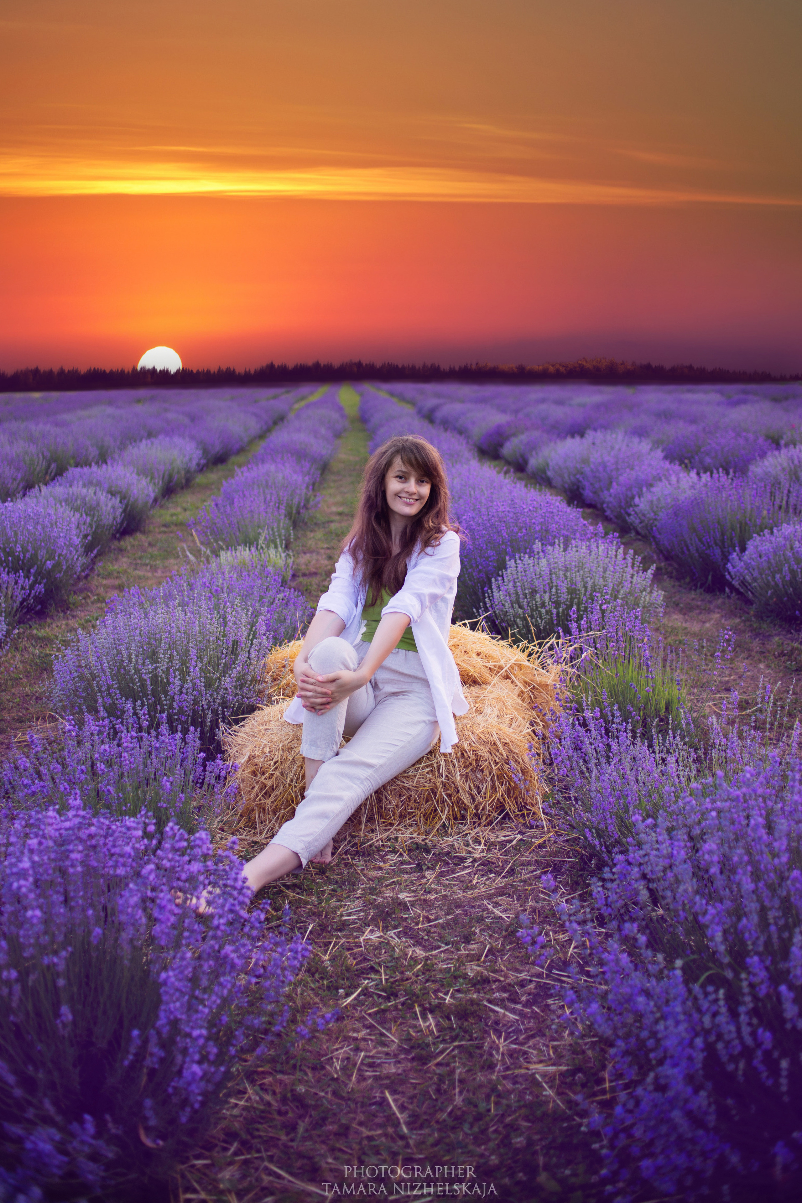  девушка в  белой  рубашке   сидит на сене.    вокруг нее   море   лаванды. на фоне  закат.