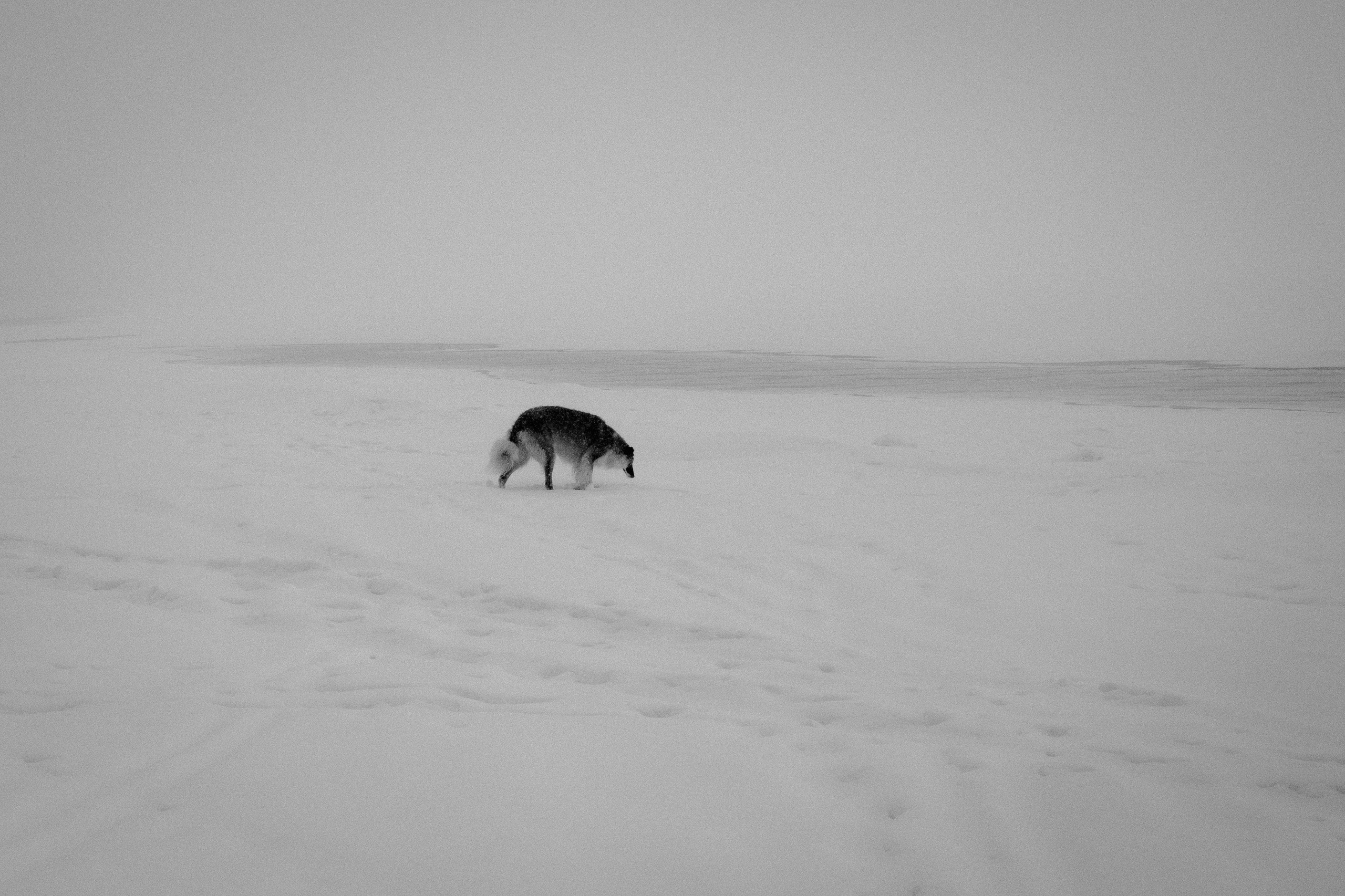 № 28. WAYHAY — Портретный фотограф