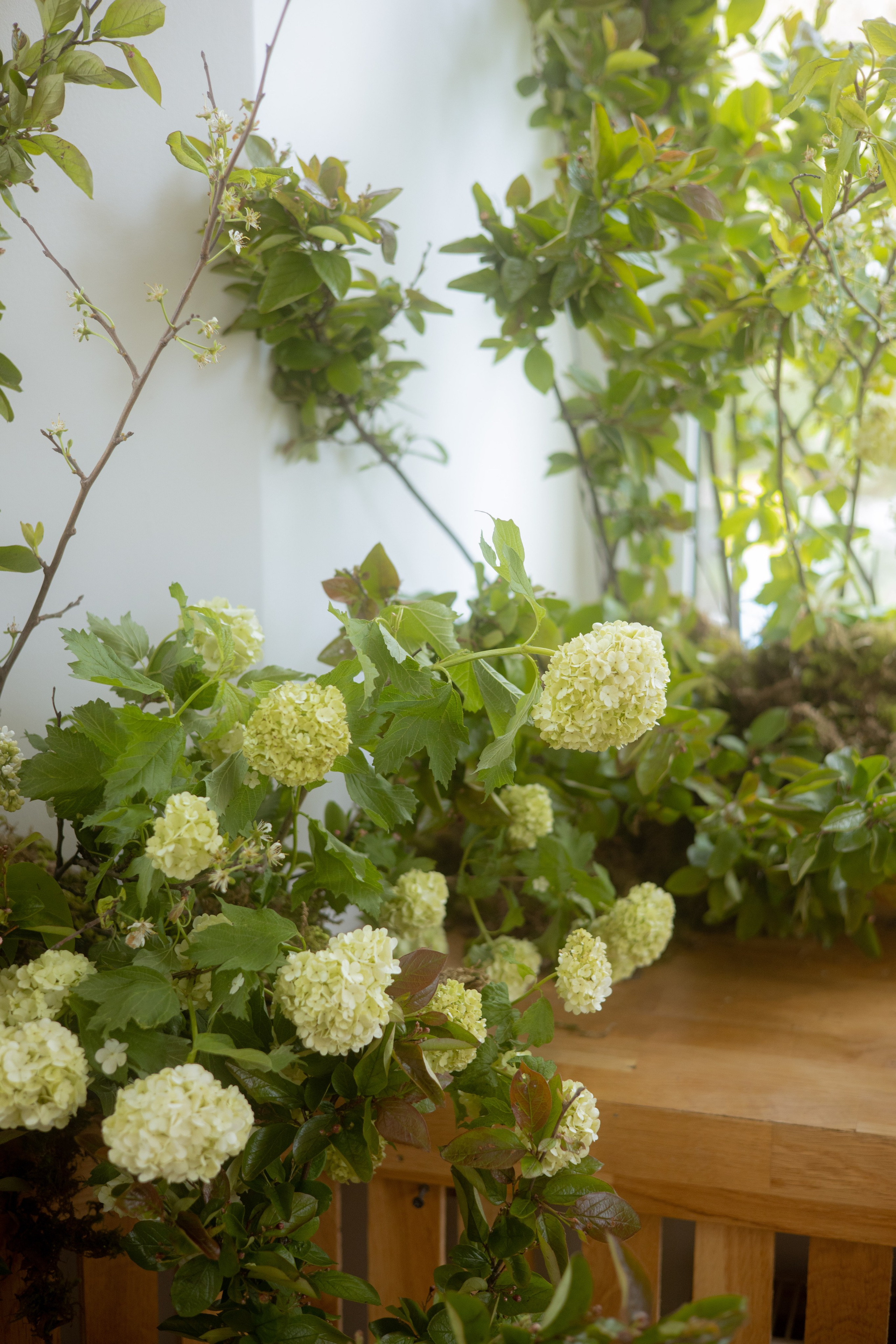 Утро Есении. Оформление свадеб, декор свадеб Вера Маркова, Москва