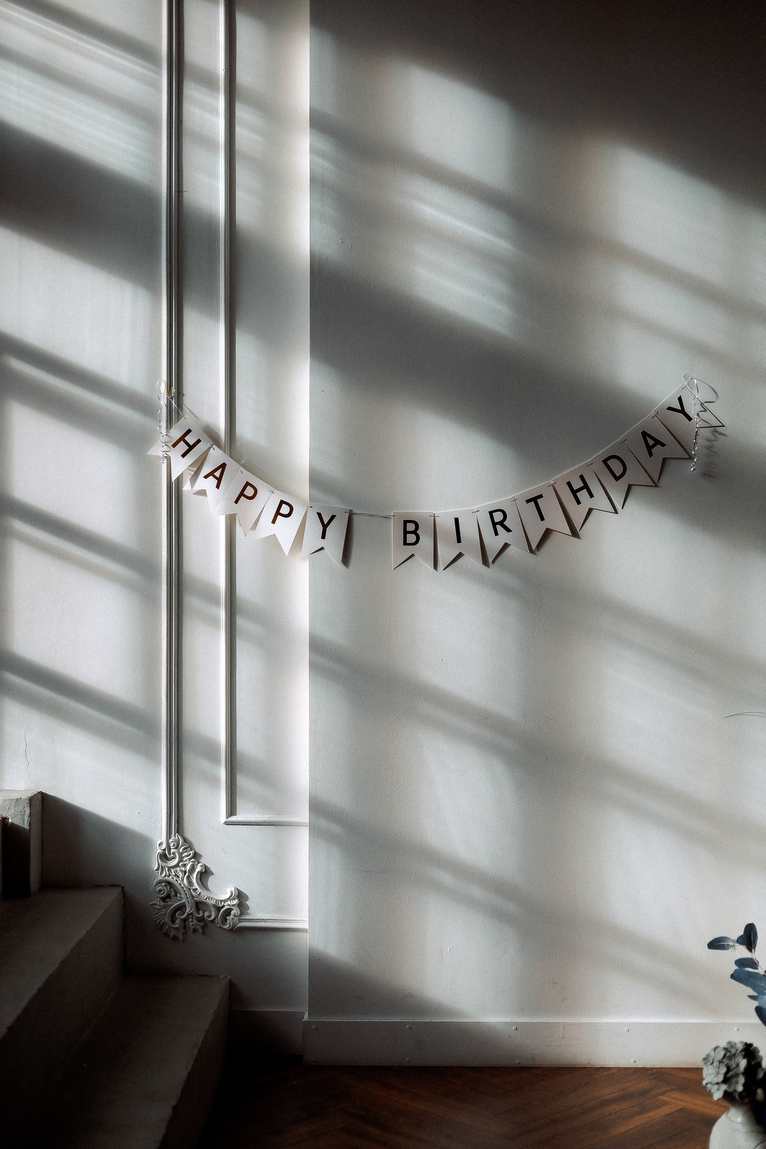 Лев 1 годик. Главная