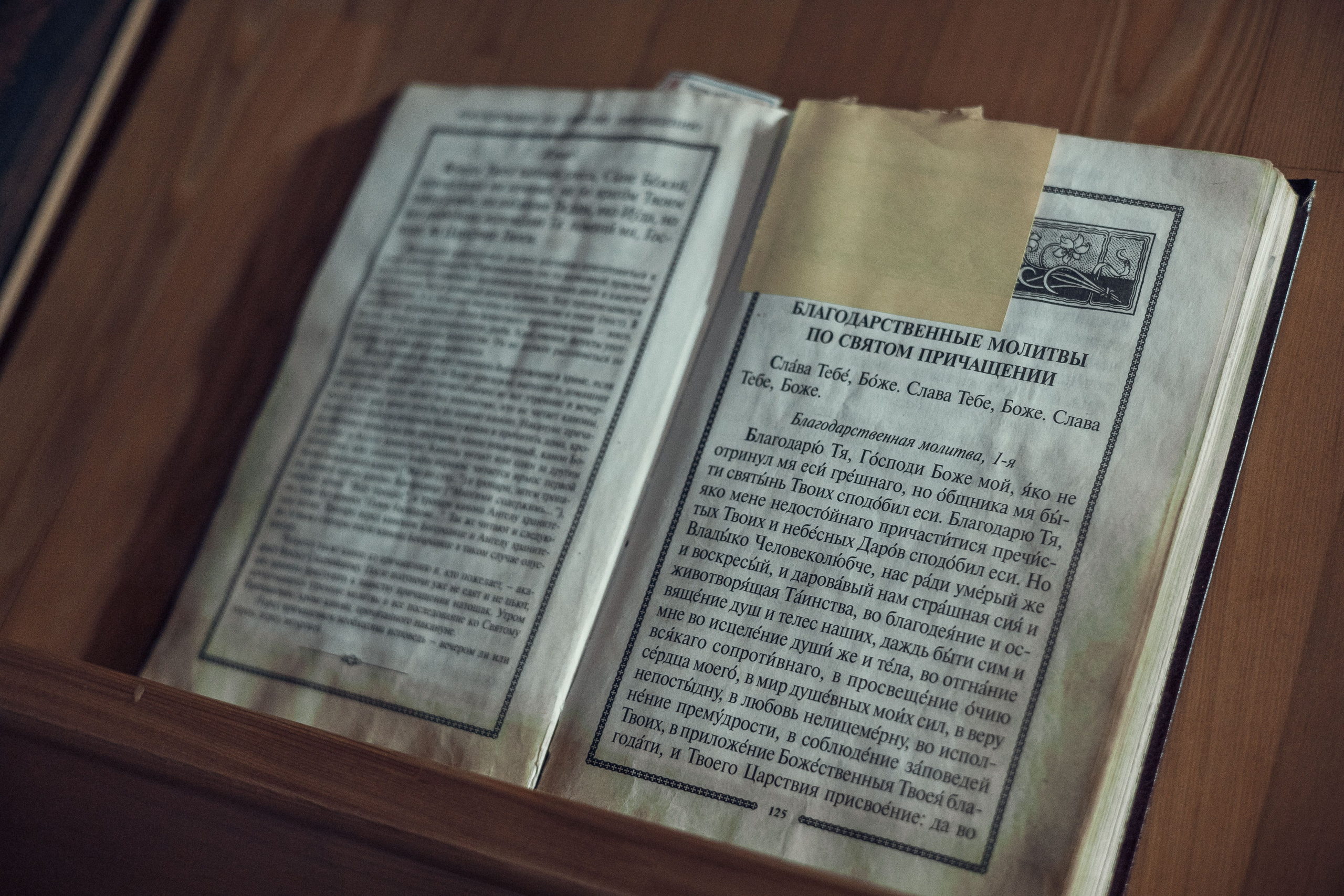 Сретение Господне. Артеменкова Анна Фотограф