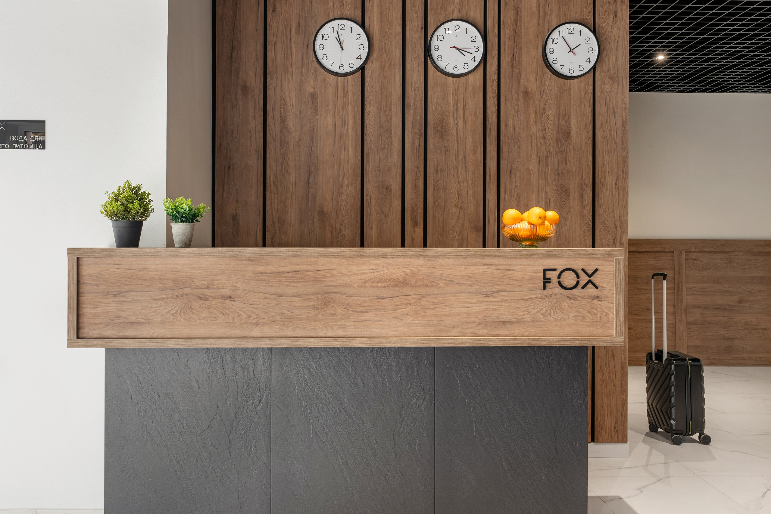 Фокс. Отельный интерьерный фотограф Сочи