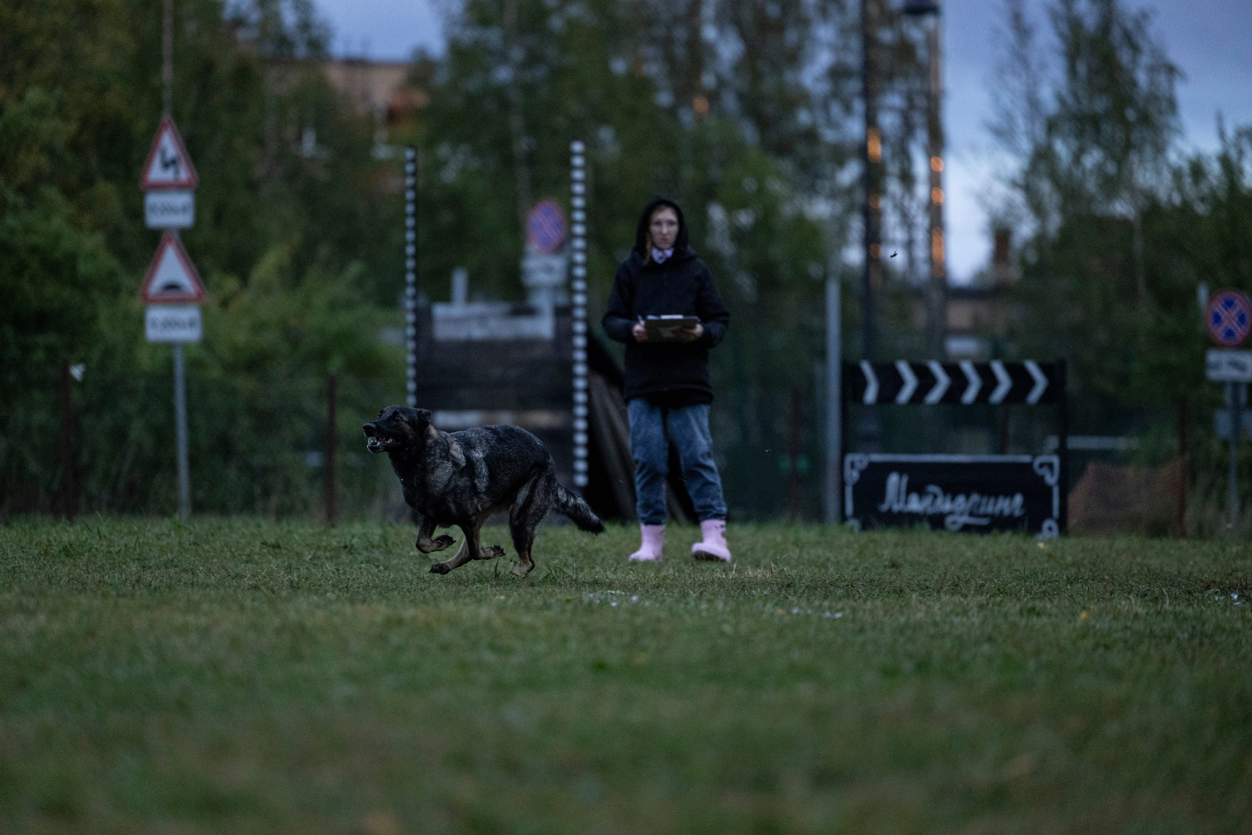 Испытания по Мондьорингу г. Пушкин. Фотограф-анималист Анна Маринич