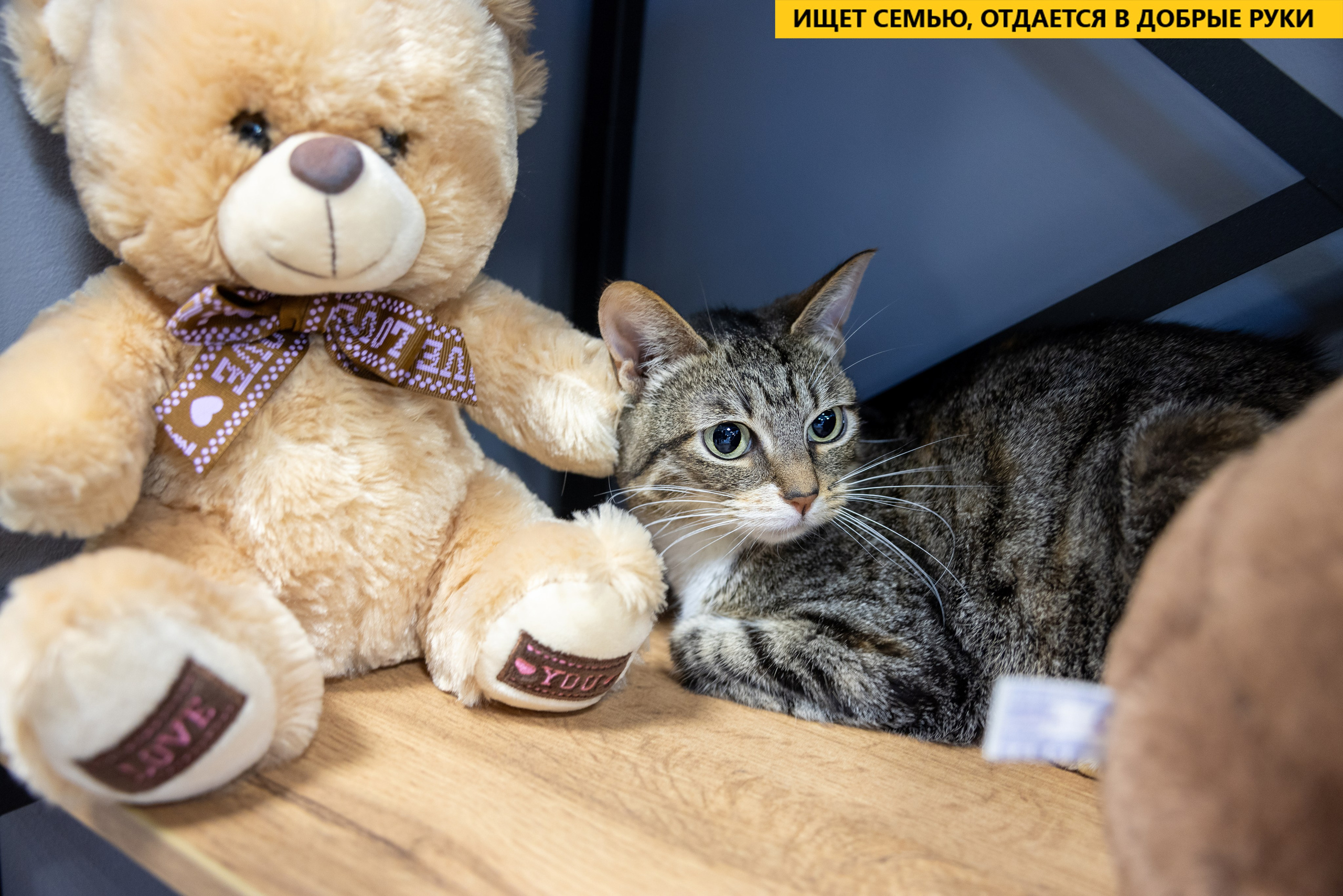 Рекламная съемка в Москве. Геннадий Степанов —фотограф в Москве