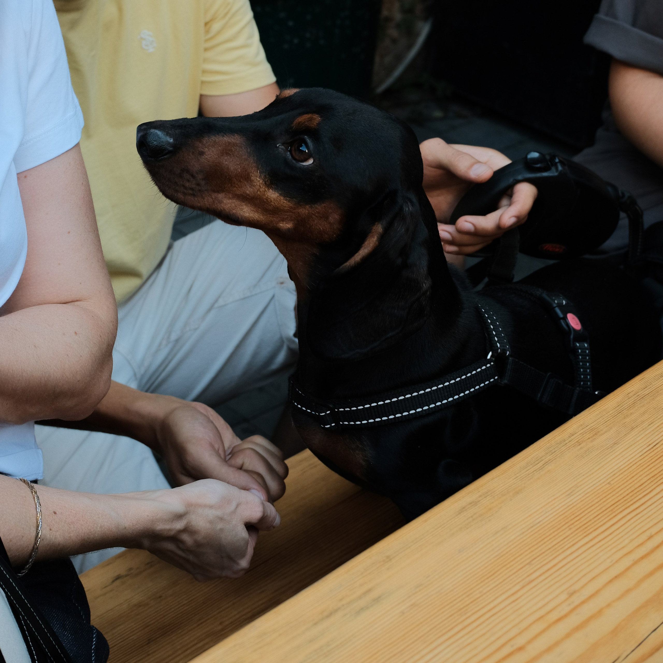 Rostov-on-Don. Creative travel photographer — Berg Daria