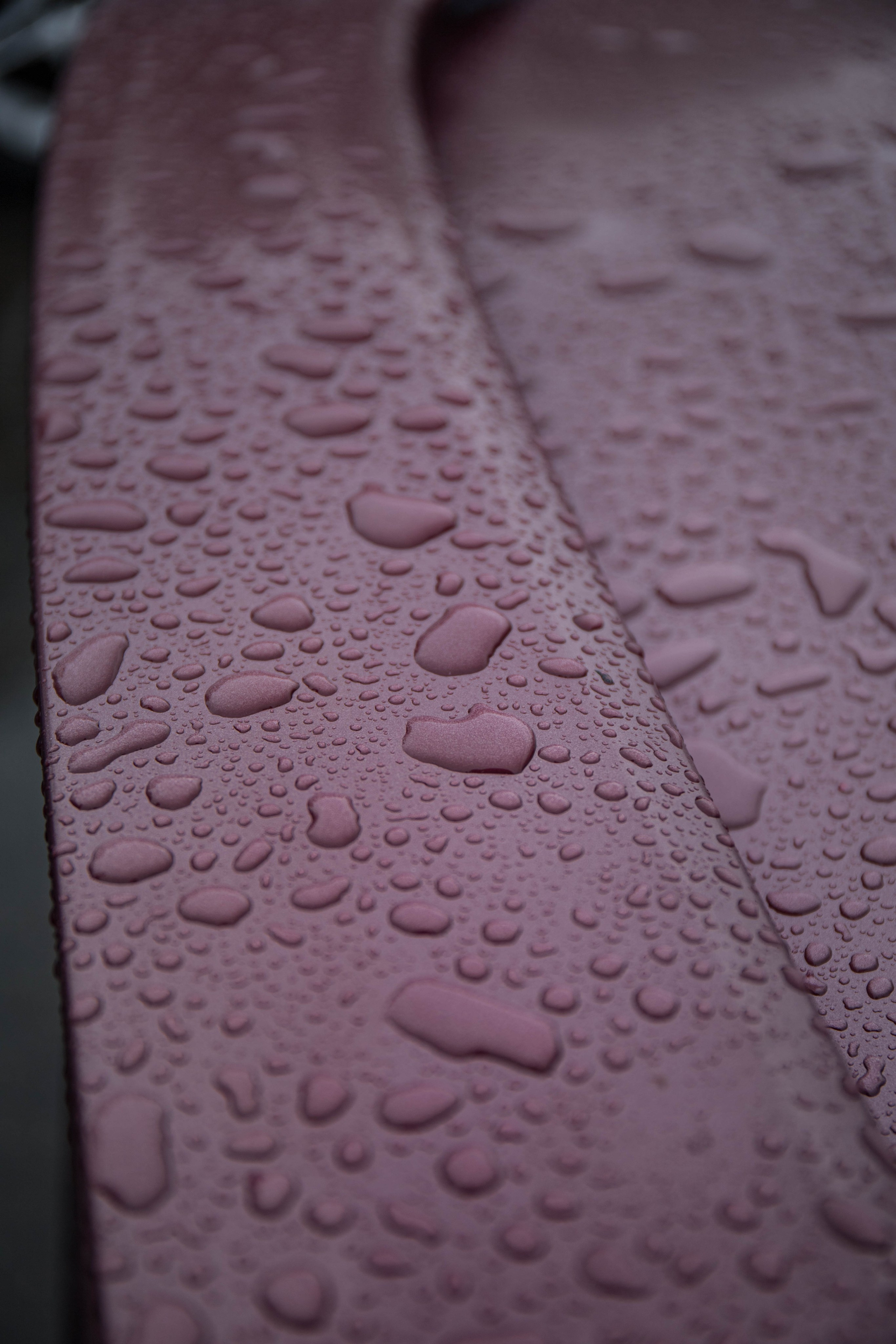 ▶️Молодёжный фестиваль «Ё-ность.фест». Репортажный фотограф в Иркутске — Ярослав Ковалёв