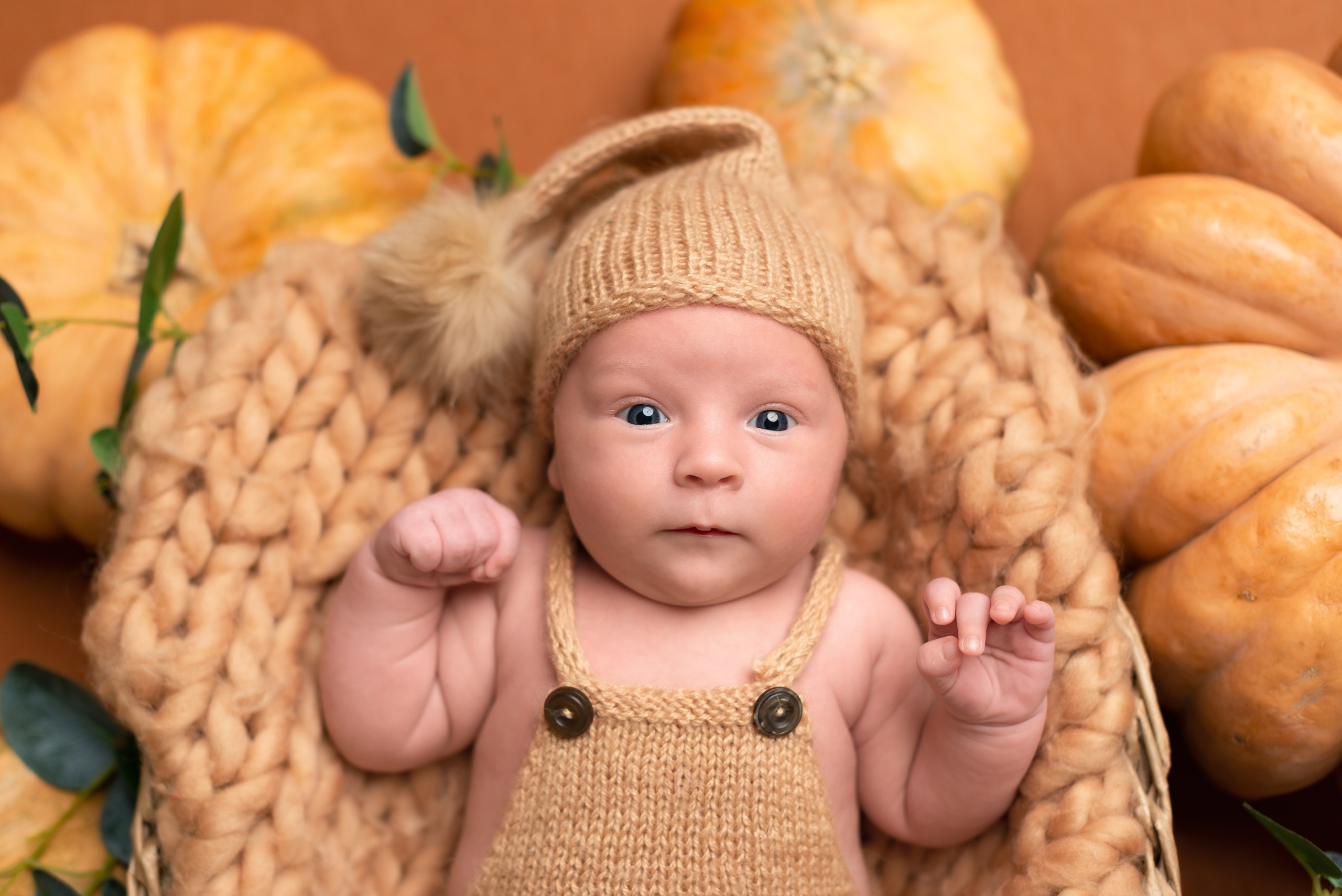 Рома. Детская фотостудия «Мандаринка» | Детский фотограф Краснодар