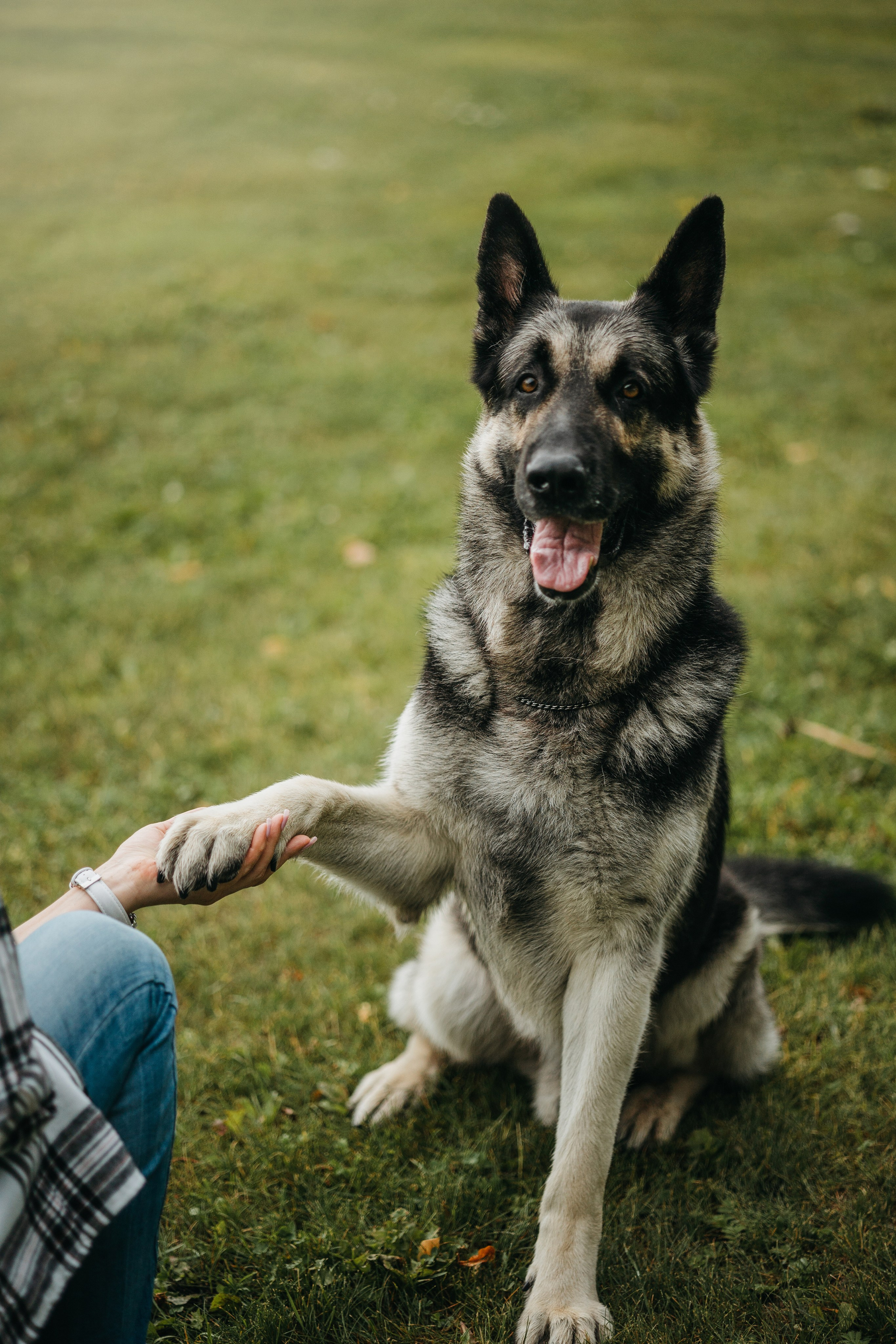Рей и Ксения. Фотограф — Анималист | Санкт-Петербург