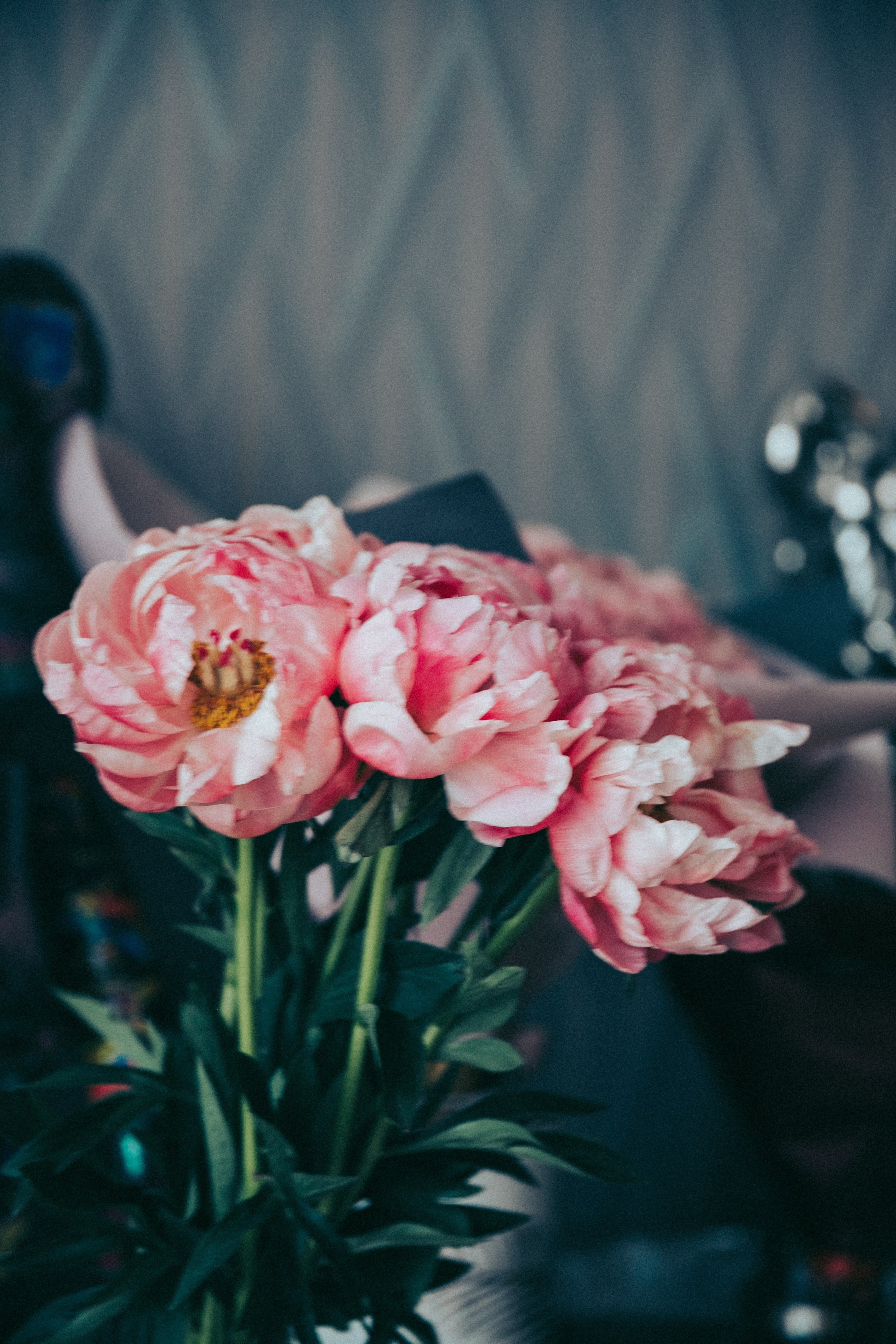 Ева. Фотограф в Москве Шаганова Нина