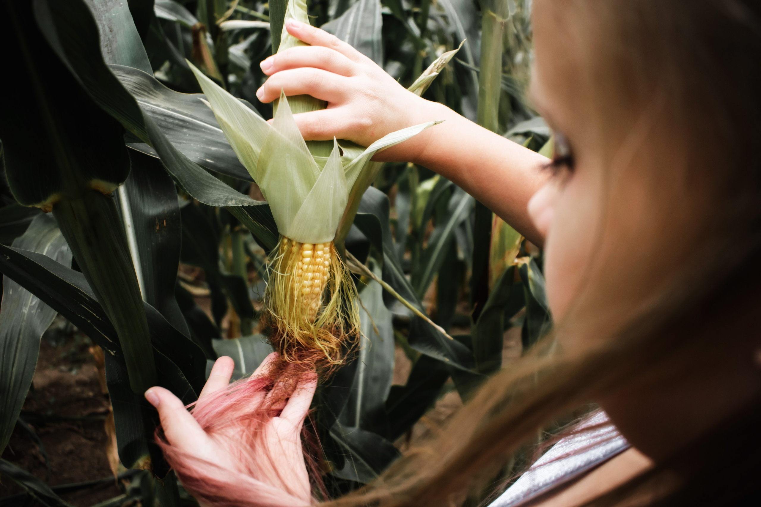 Кукурузный эльф. Детский и семейный фотограф в Волоколамске Ирина Шарова