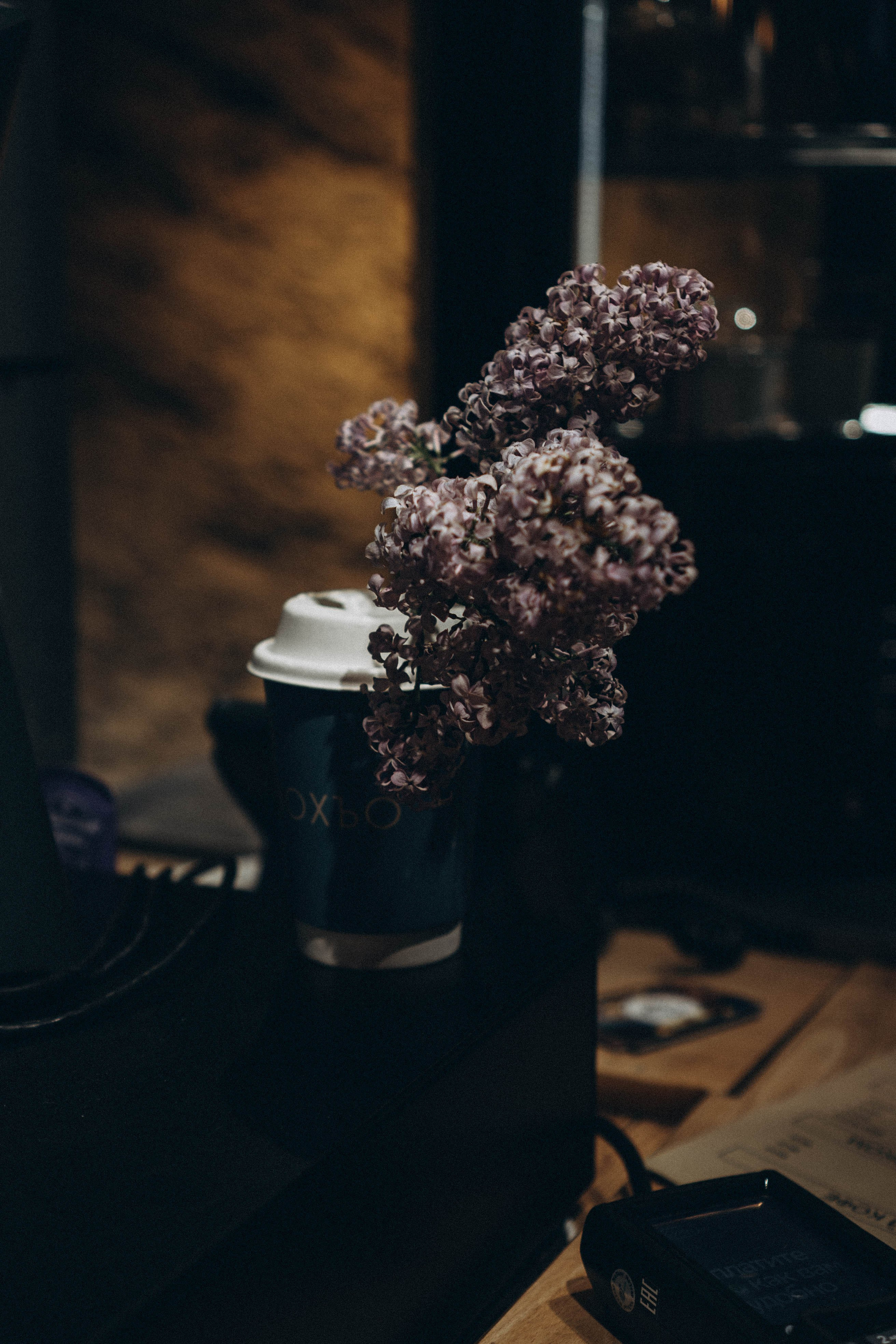 Кавказ. Профессиональный фотограф, Санкт-Петербург — Виктория Богомолова