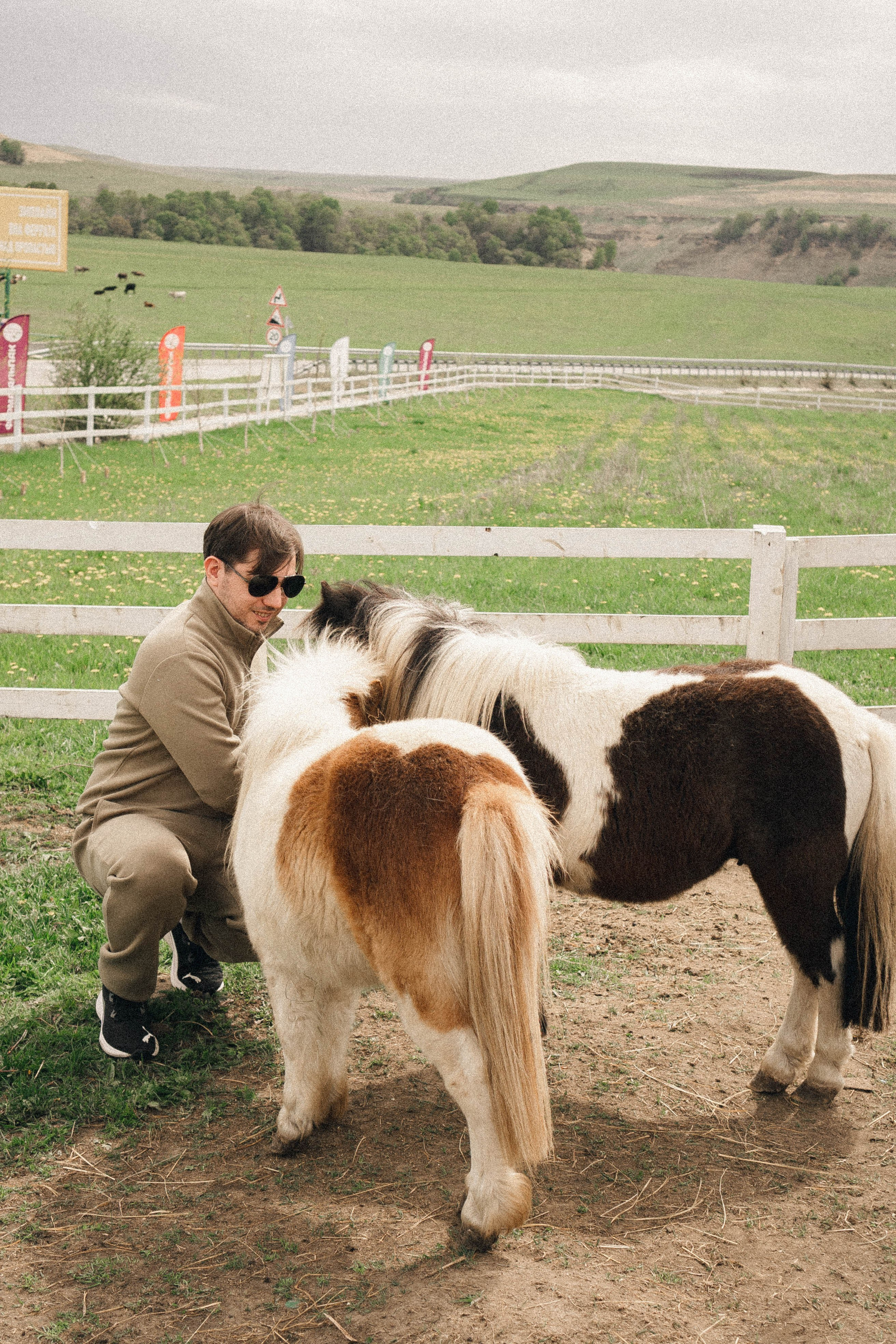 Ферма Альпак. Профессиональный фотограф, Санкт-Петербург — Виктория Богомолова