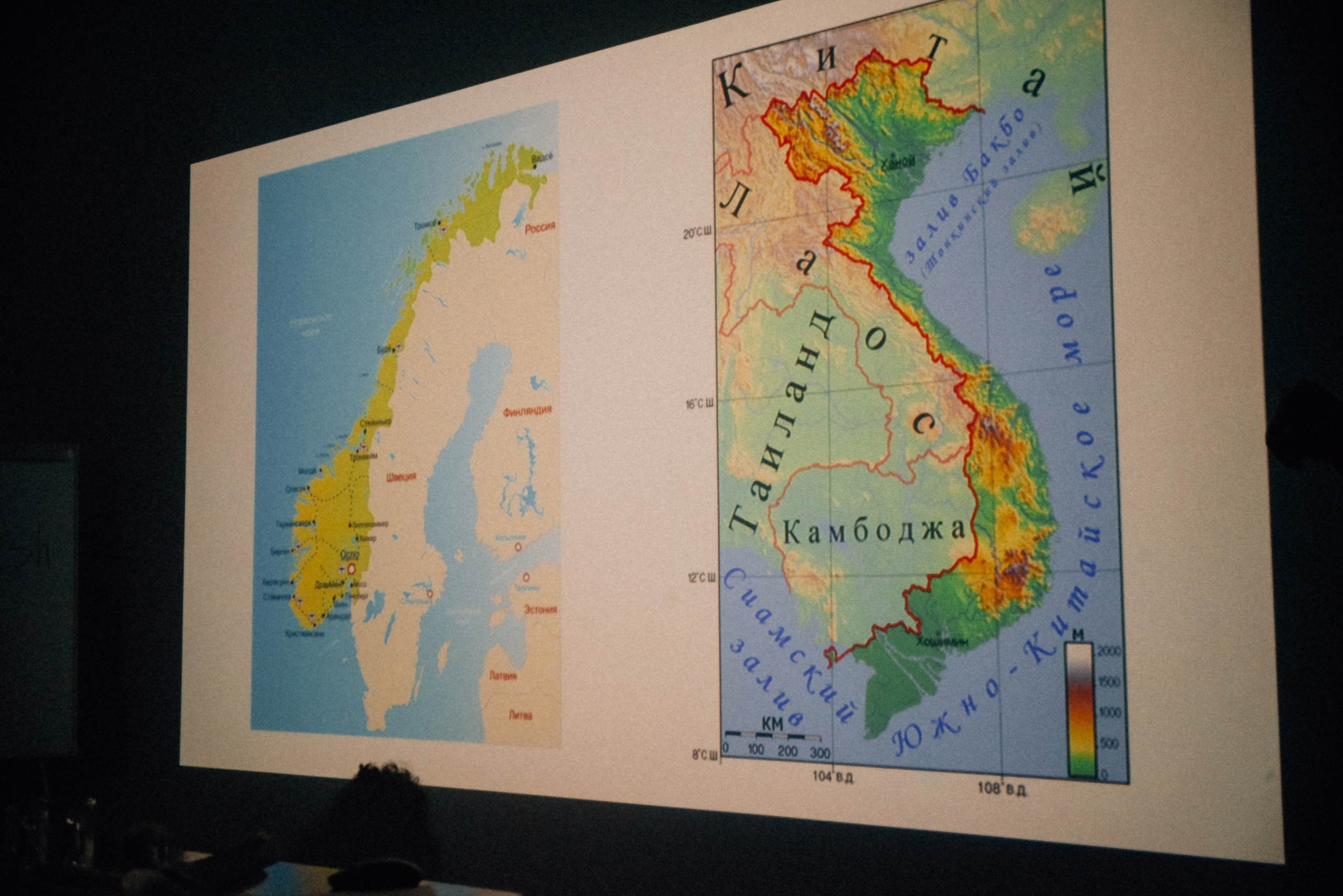 ЧТО ТЫ МЕЛЕШь Вечер вьетнамского караоке. Фотограф Лола Волна, город Москва