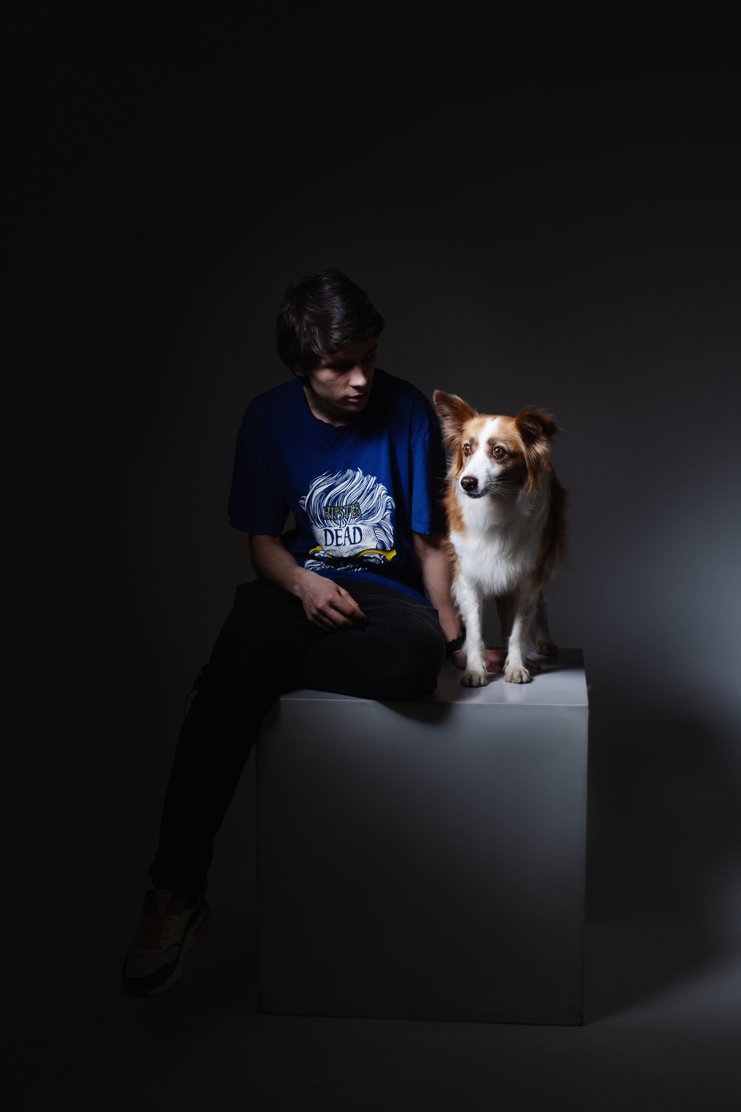 Беатрисс и бордер Вивьен в студии. Фотограф анималист в Москве Майорова Евгения