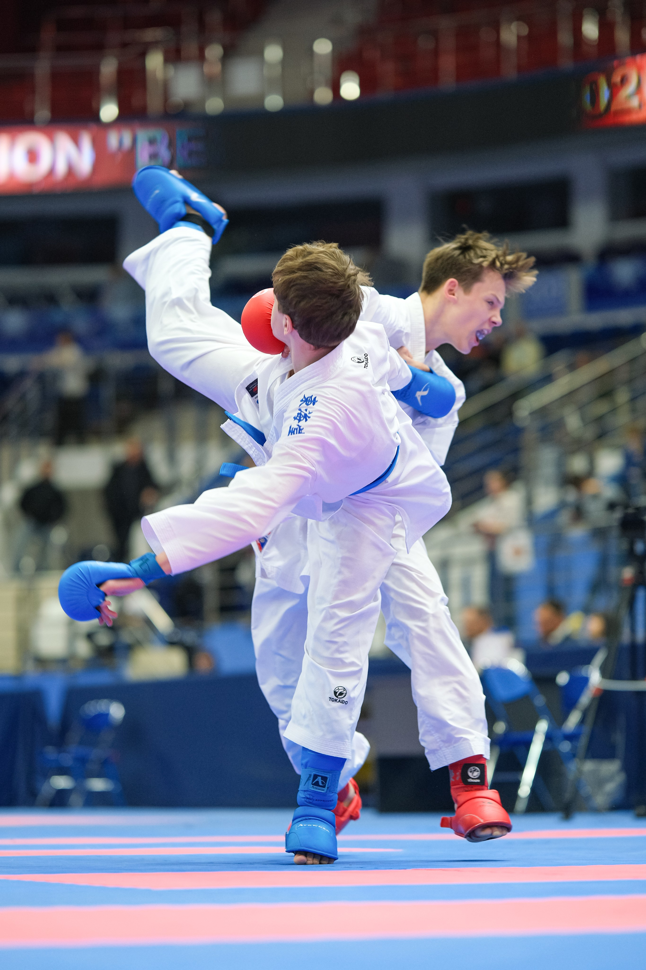 Международный турнир по карате «Belarus Open». Https://www.instagram.com/paparrazzio