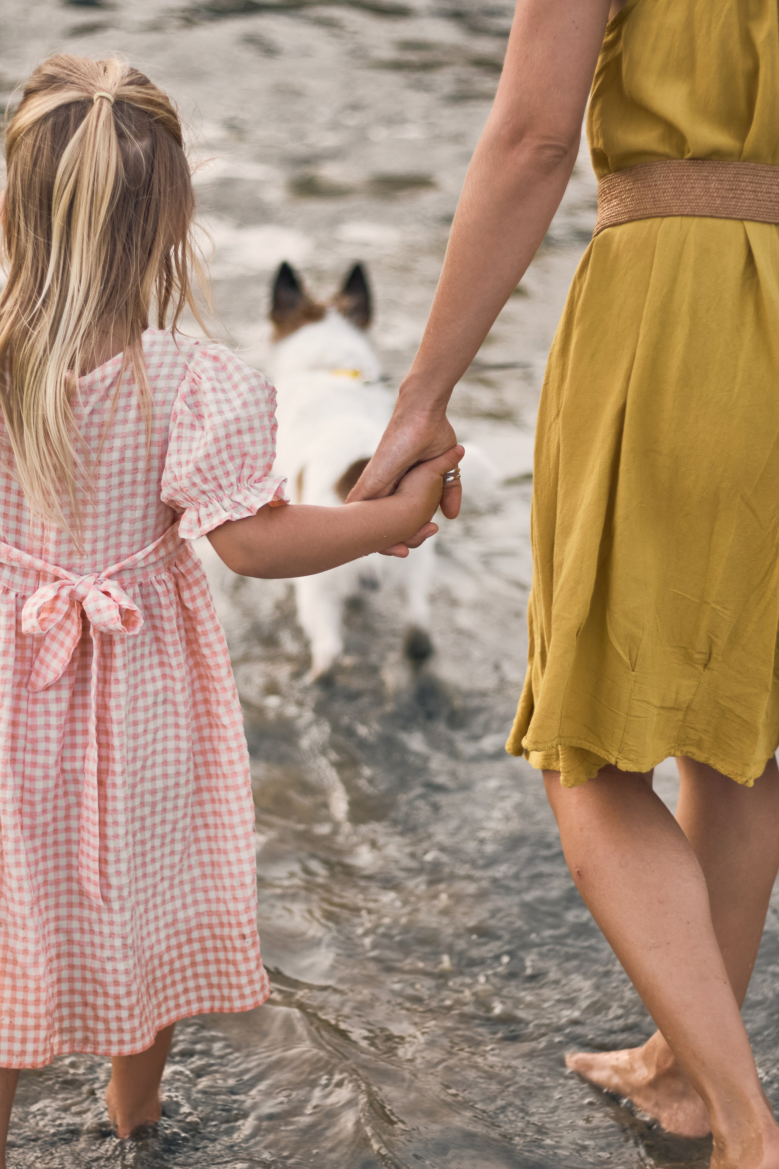 Вечерняя прогулка по пляжу с Джерри. Портретный фотограф Санкт-Петербург