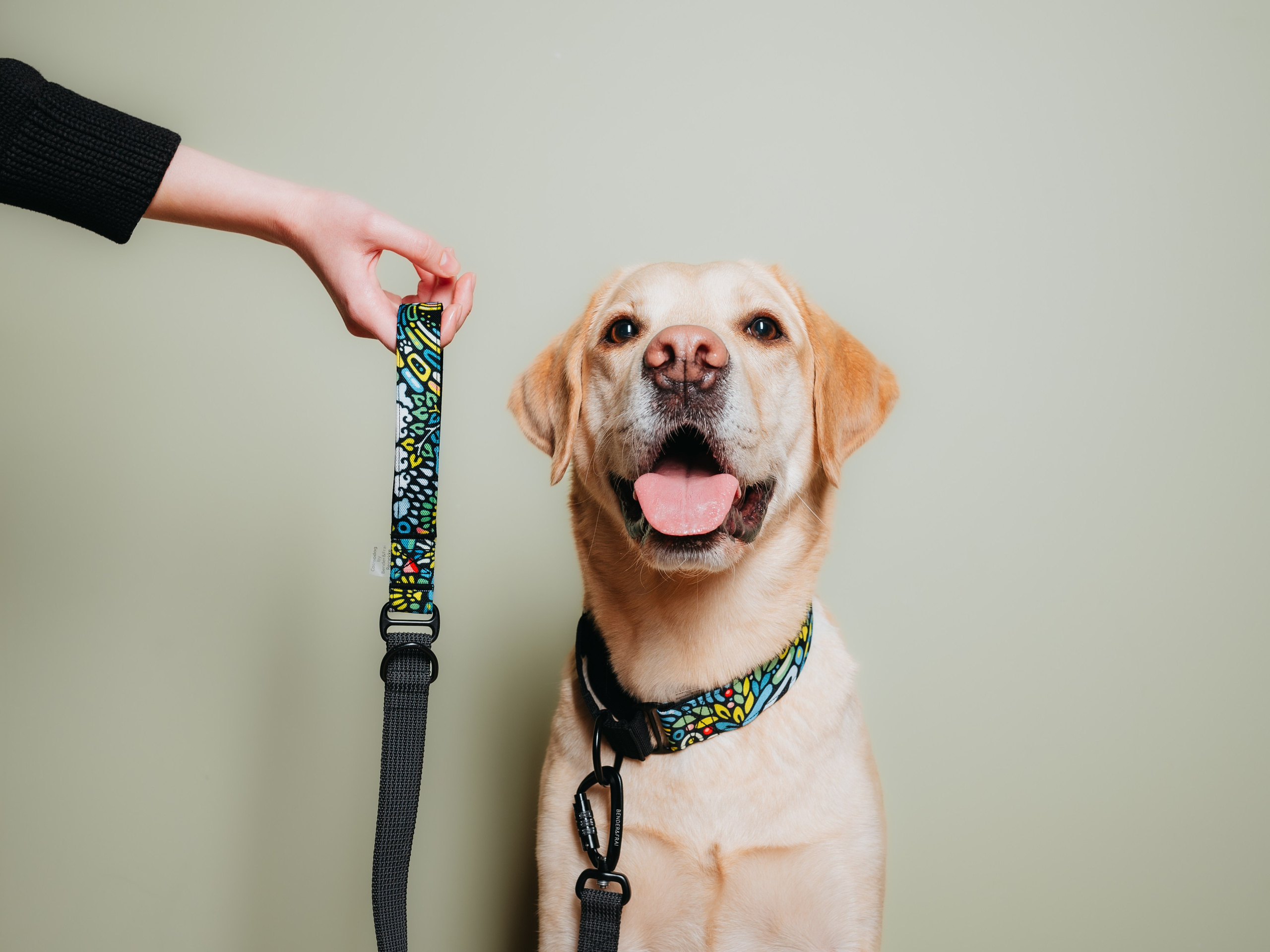 Cosmodog. Амуниция. Семейный фотограф анималист Ананьева Мария — Москва