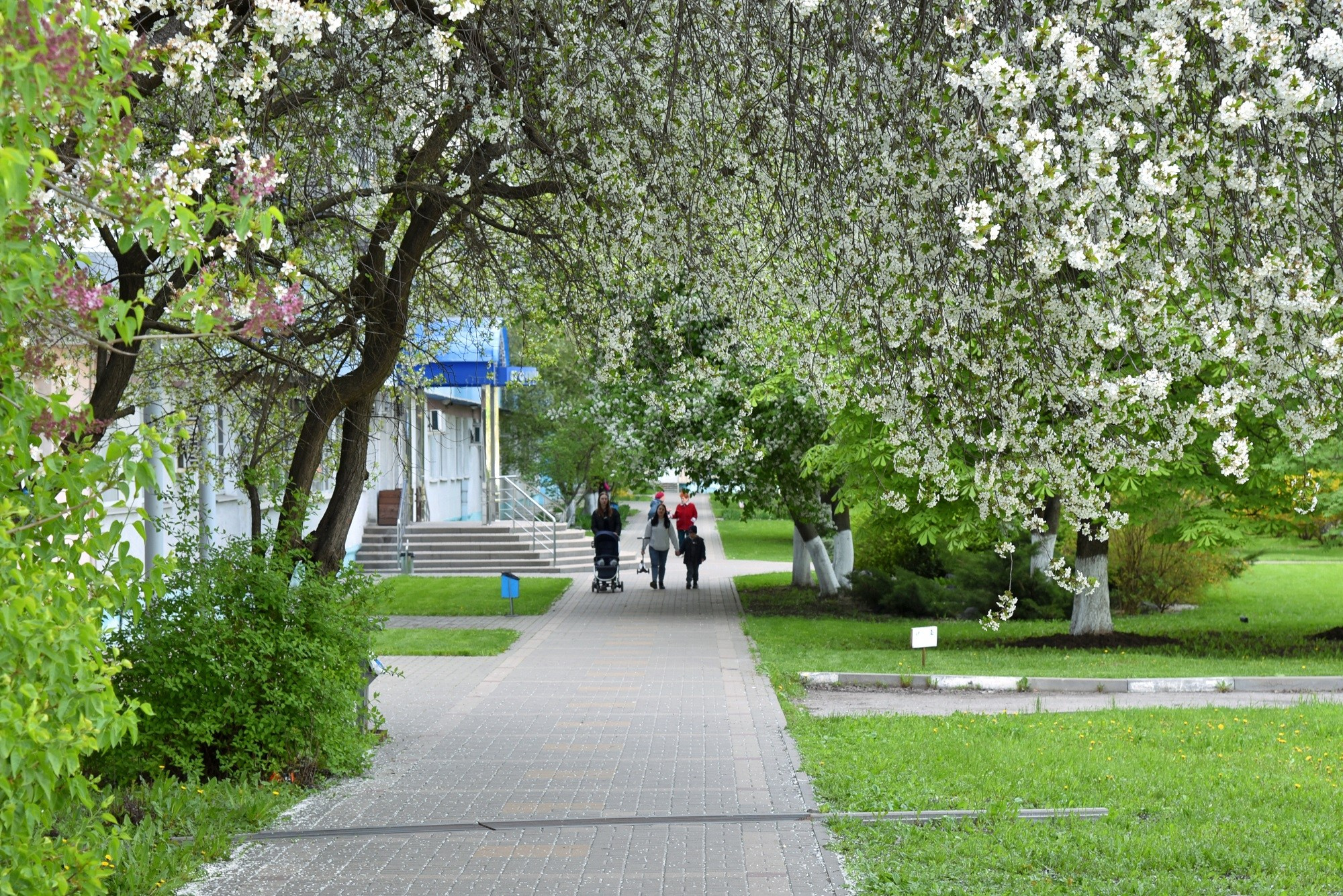 Белгород. Творческий уголок фотографа из Белгорода Ивановой Елены