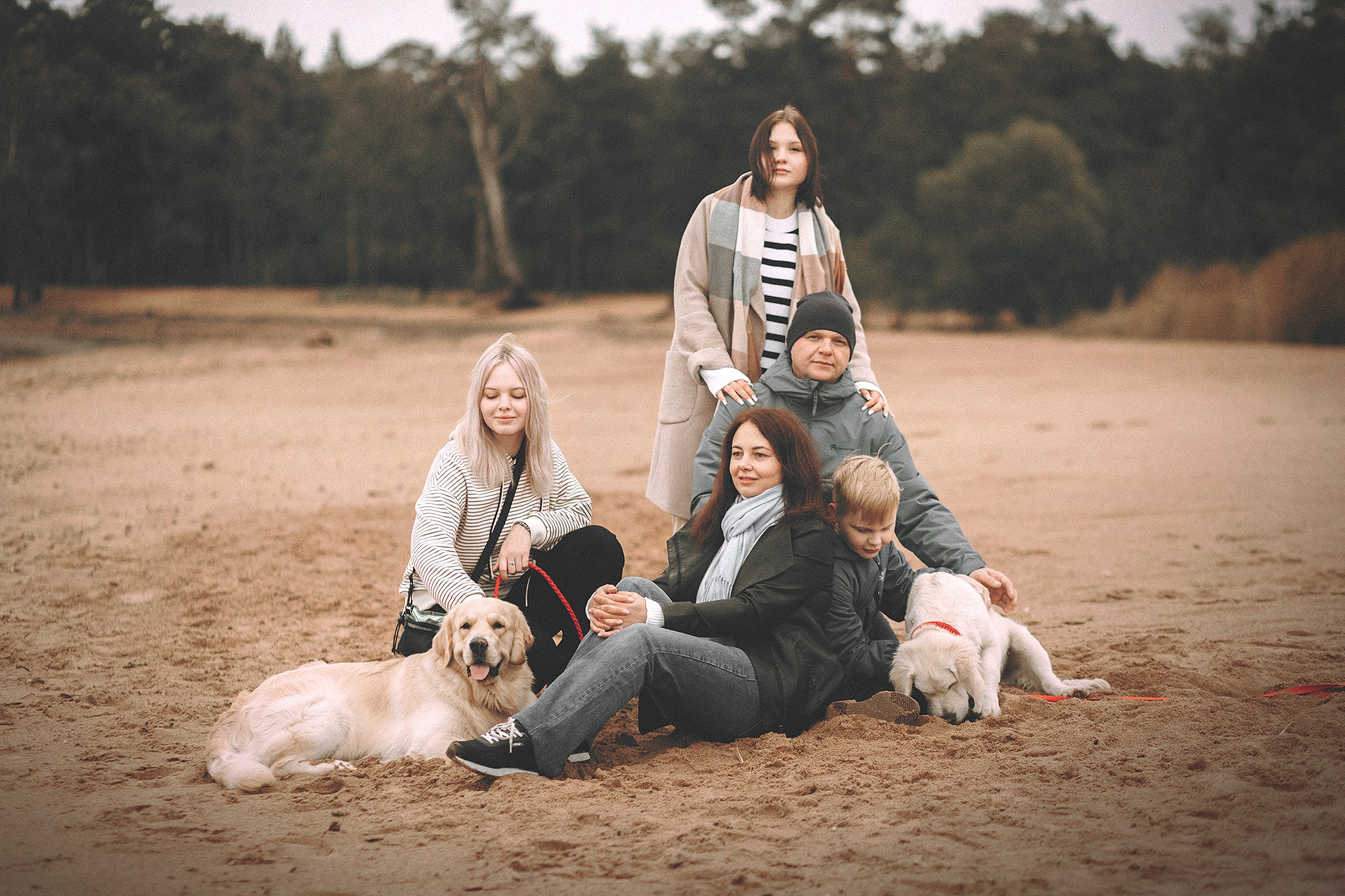 Барли, Фортис. Фотограф-анималист • love-story • Санкт-Петербург