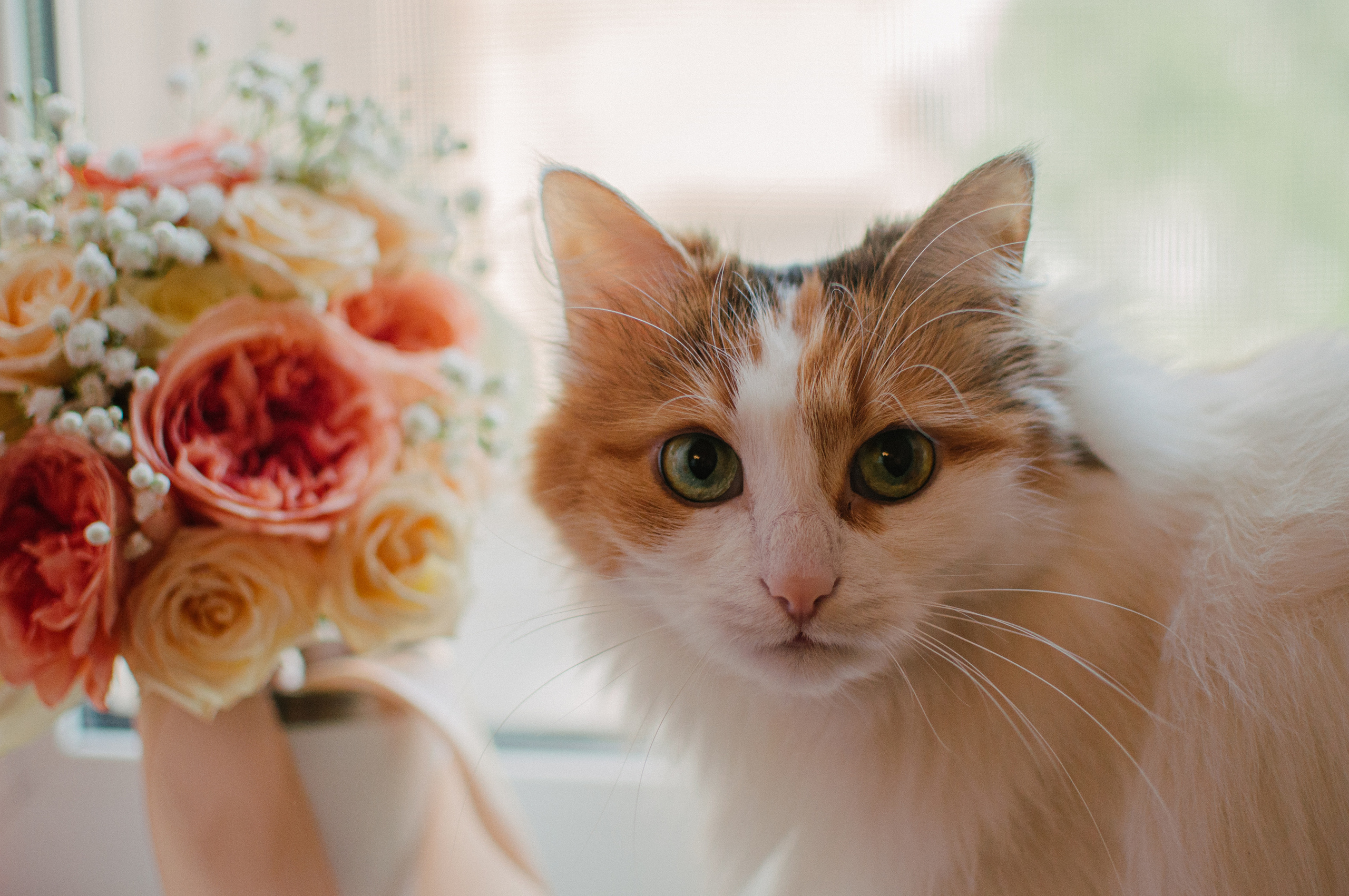 Свадебная фотосъемка Юрия и Елизаветы. Фотограф в Самаре Иван Булатов