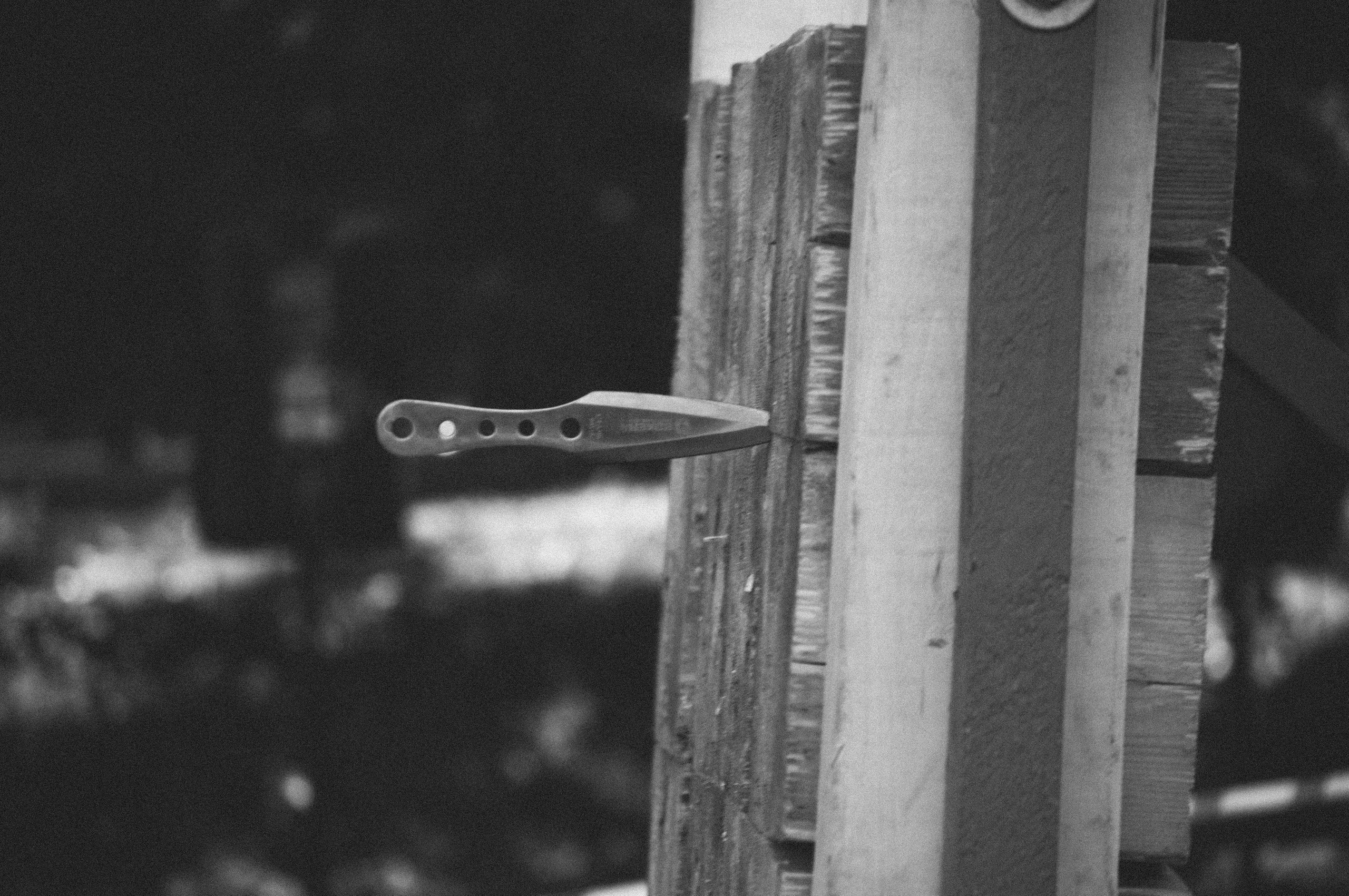 Репортаж работы тира на базе отдыха. Фотограф в Самаре Иван Булатов