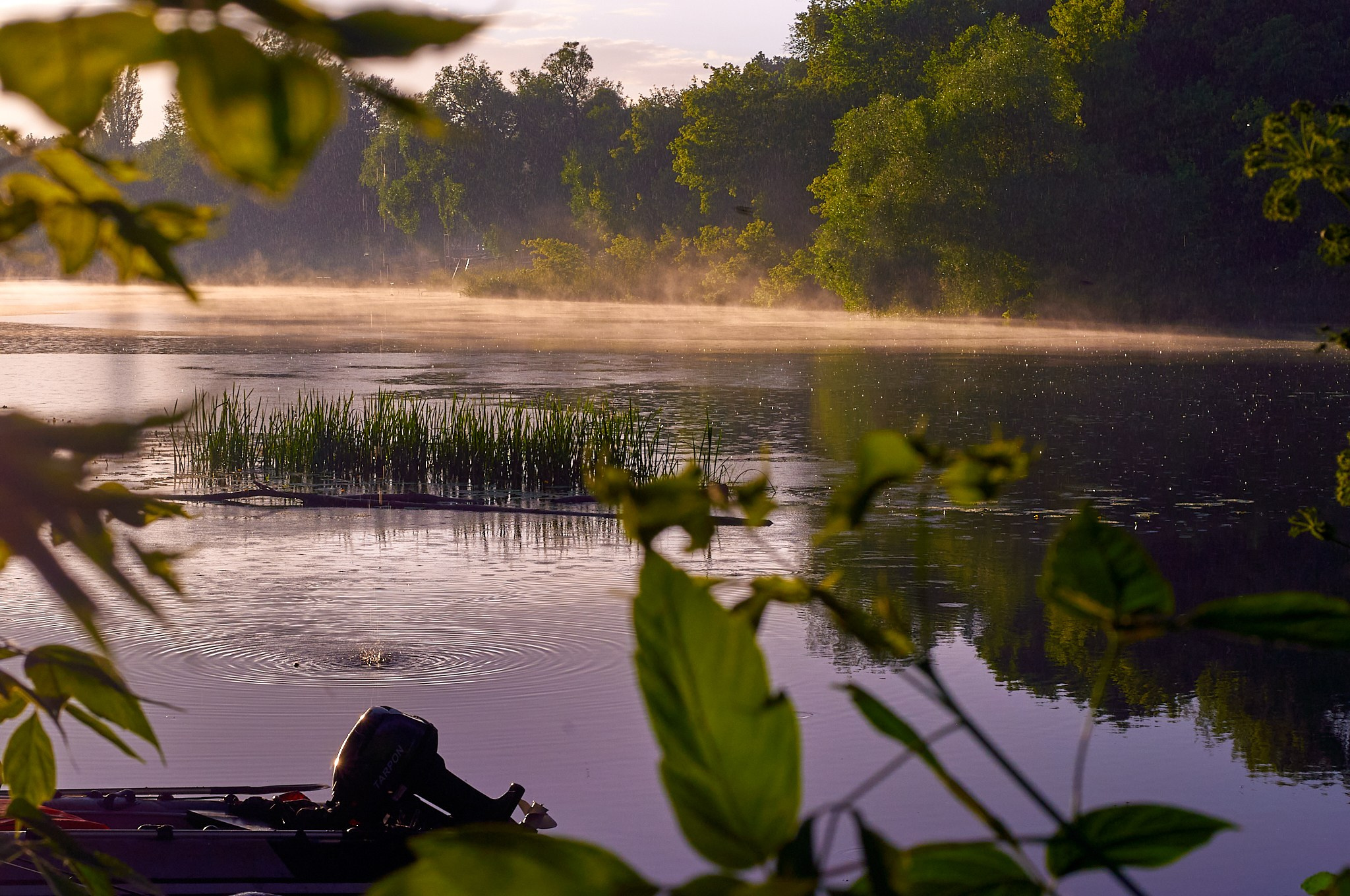 Искусство пейзажа: гармония природы в фотографиях. Координаты красоты — география в фокусе