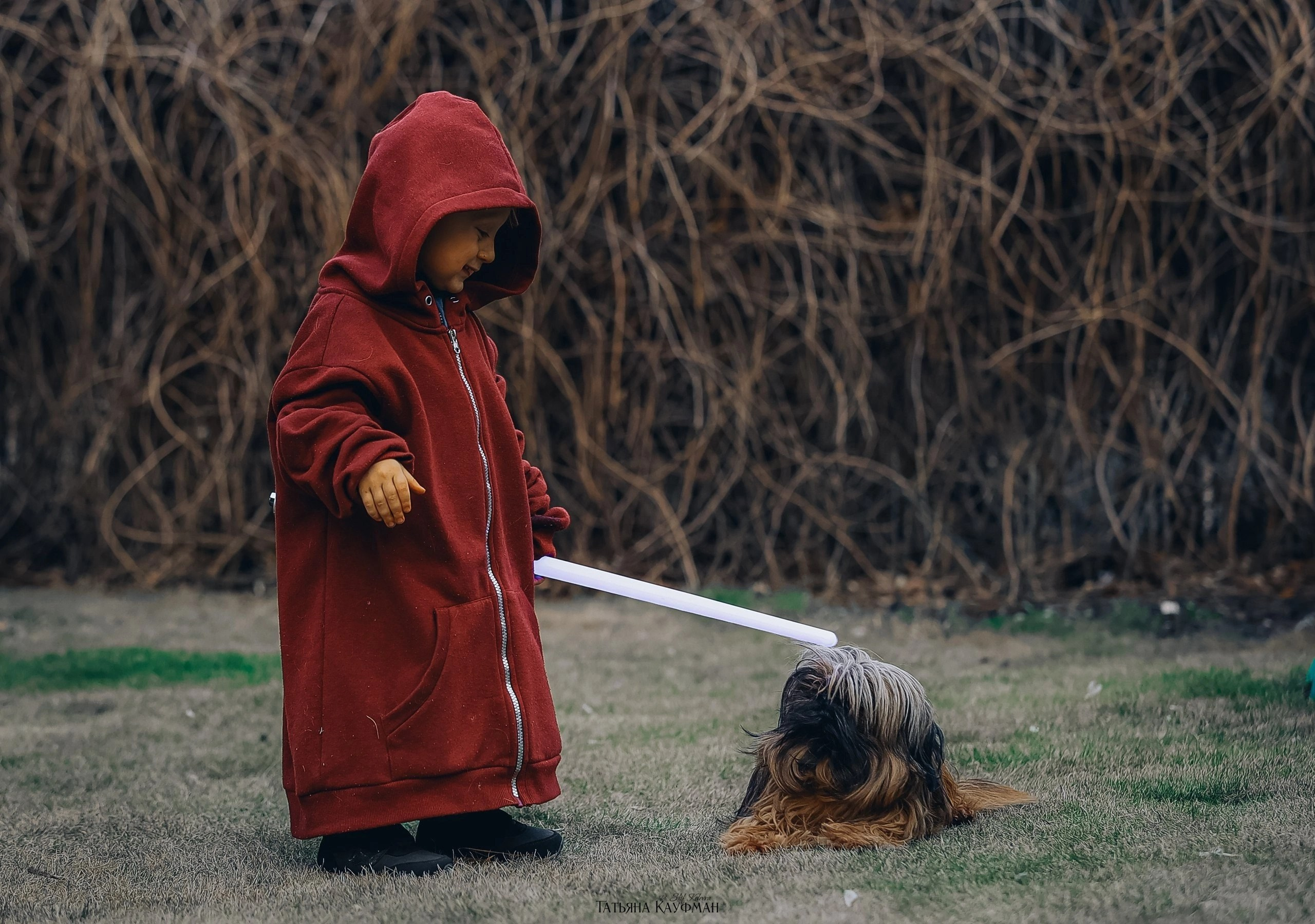 Нейросеть, ИИ, искусственный интеллект, промты собаки, промты кошки, улучшение фото, анималистика, nano Banana