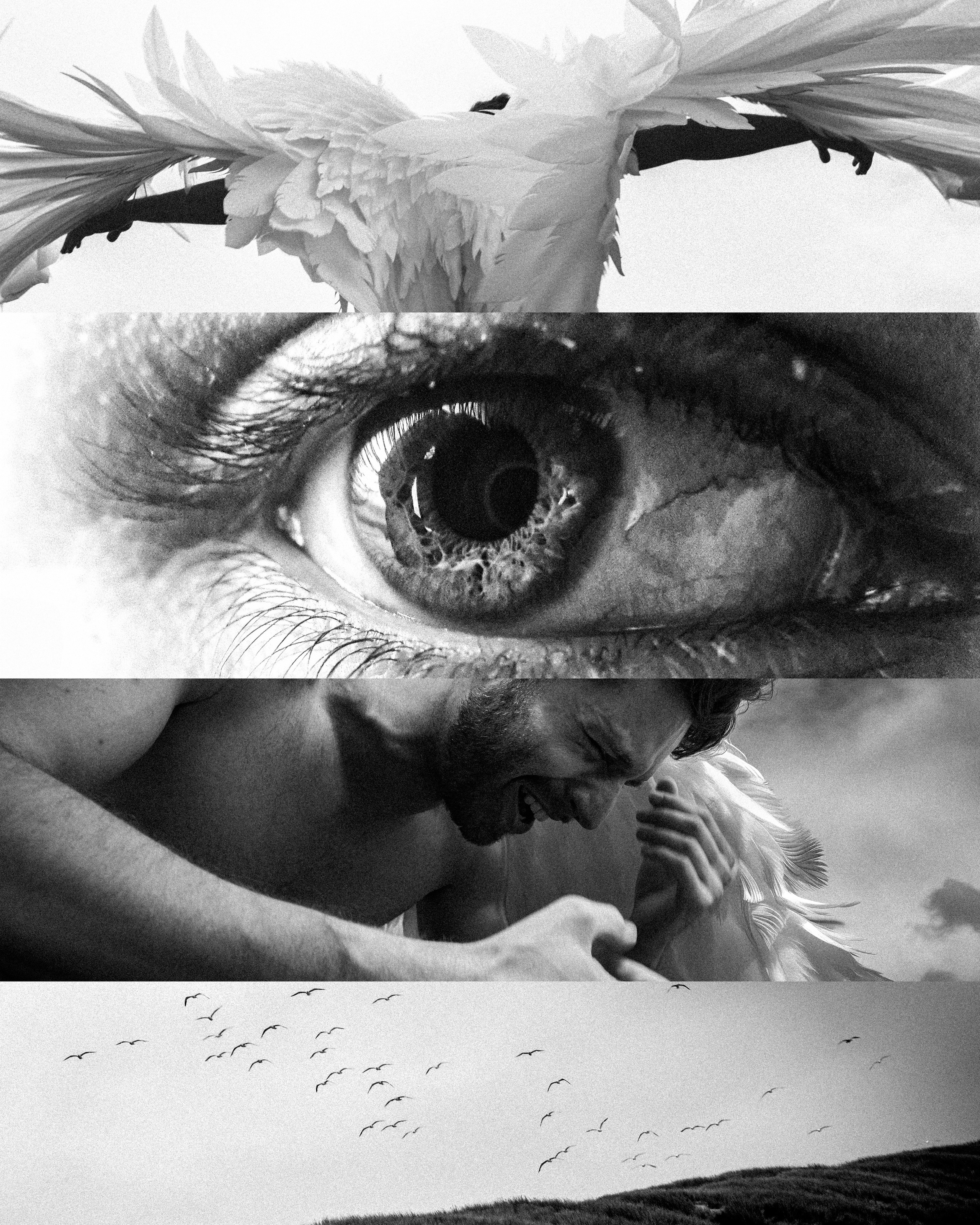 A fall. Фотограф в Москве — Кирилл Чувальский