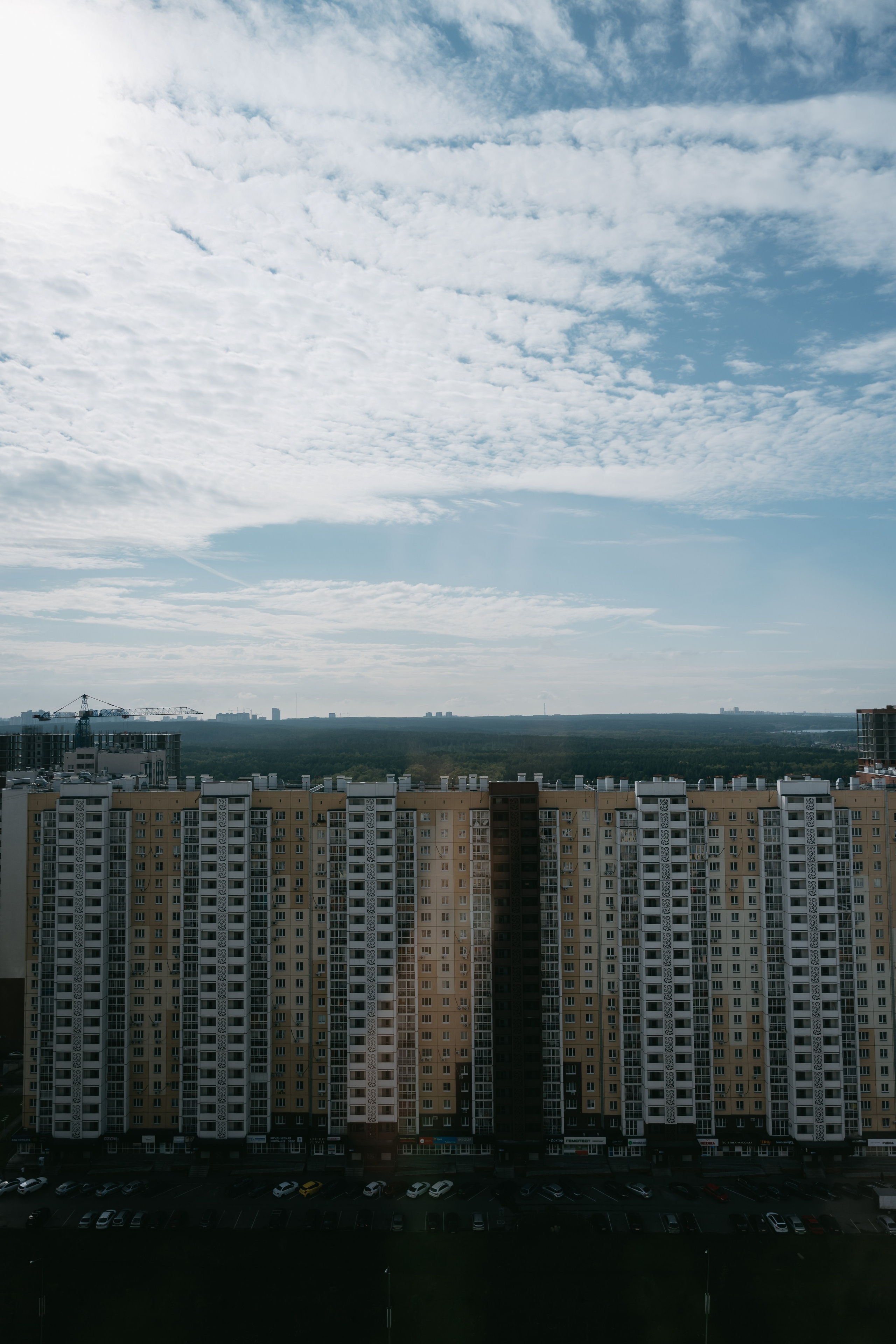 Денис и Екатерина. Фотограф Ирина Авдеева