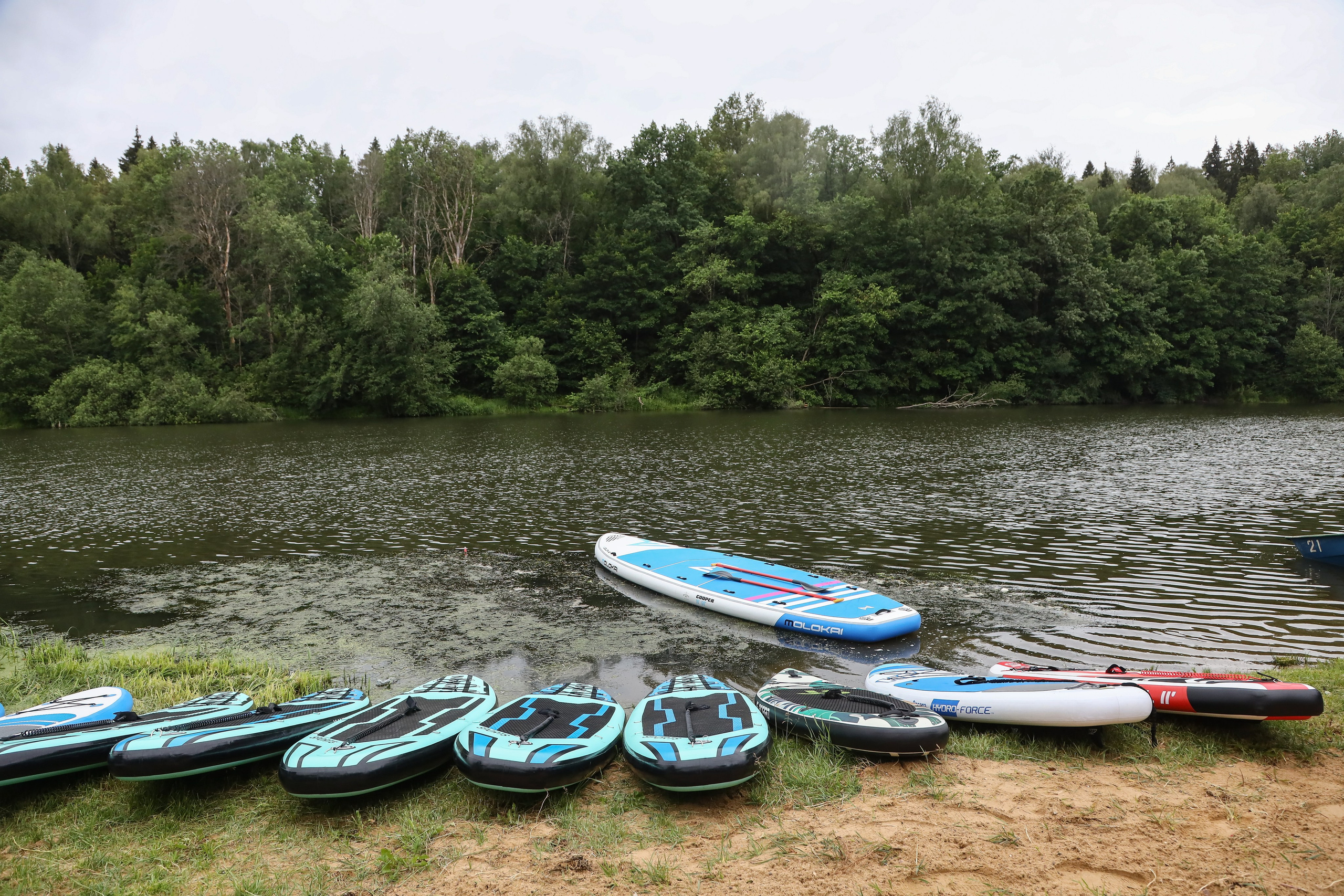 Летний корпоратив Arlight. Фотограф Антон Чупринин
