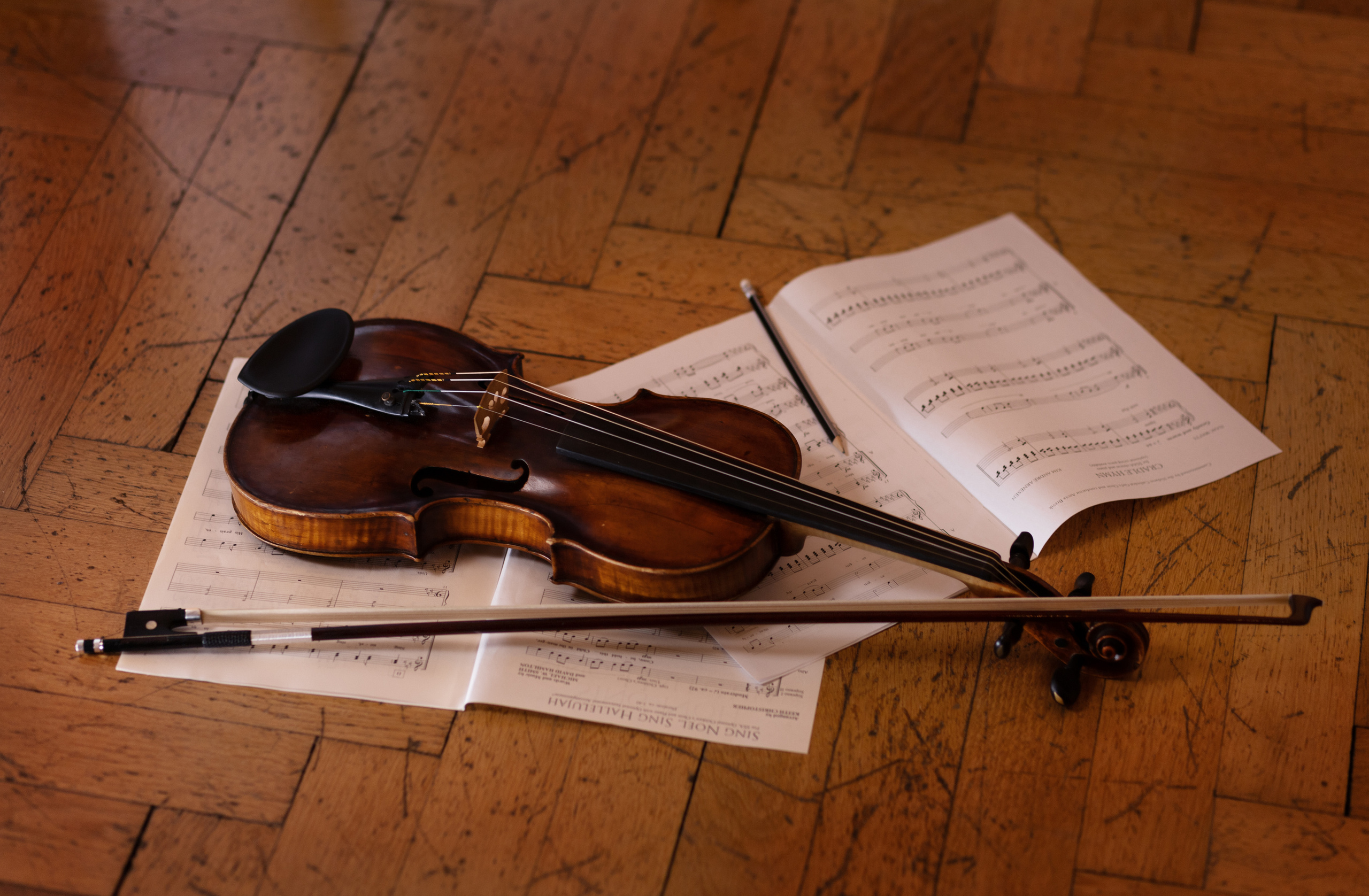 Скрипач. Портретная и индивидуальная фотосъёмка в Граце и Тюмени