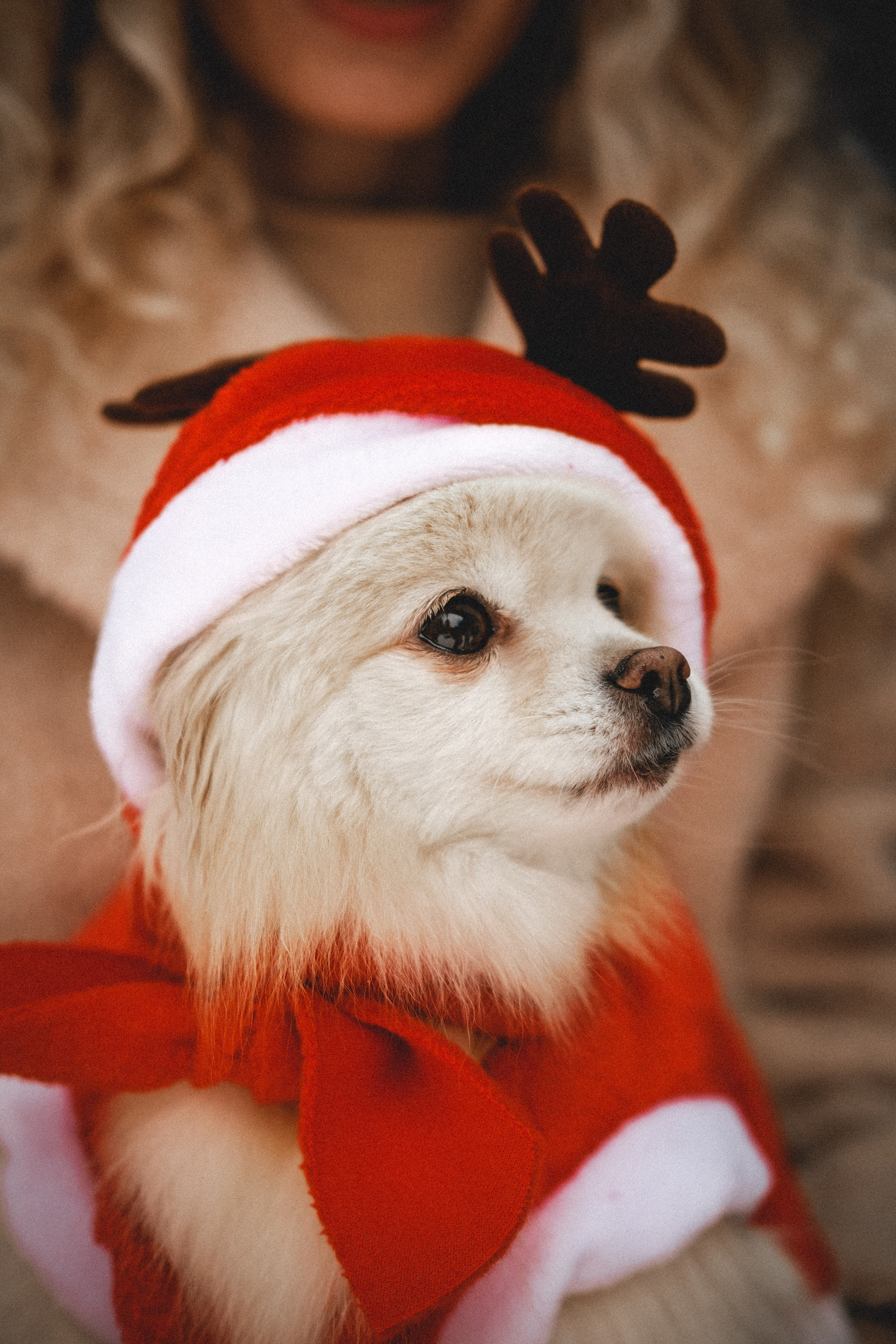 Илона и Никита. Дина Шаткова