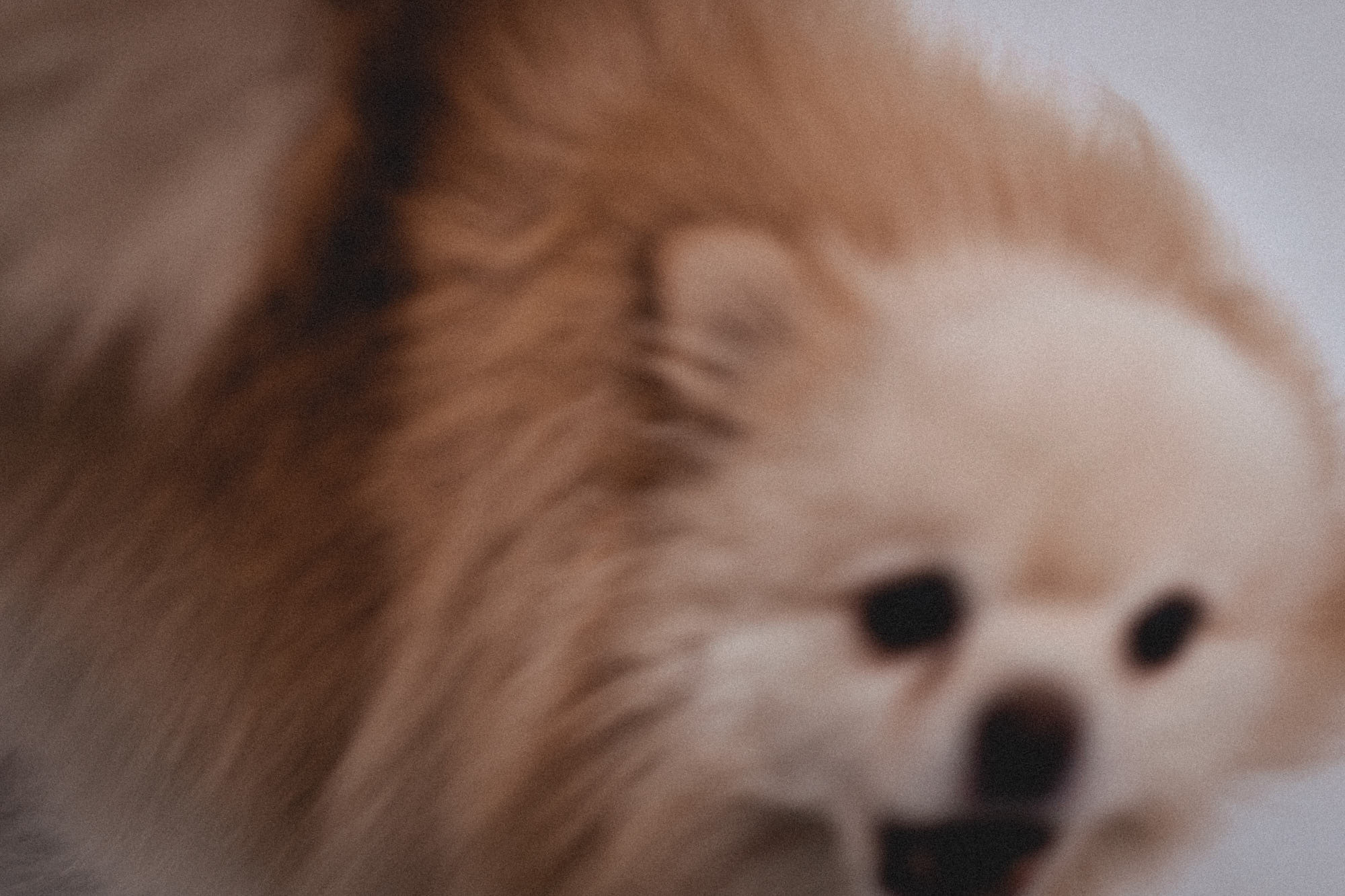 Илона и Никита. Дина Шаткова