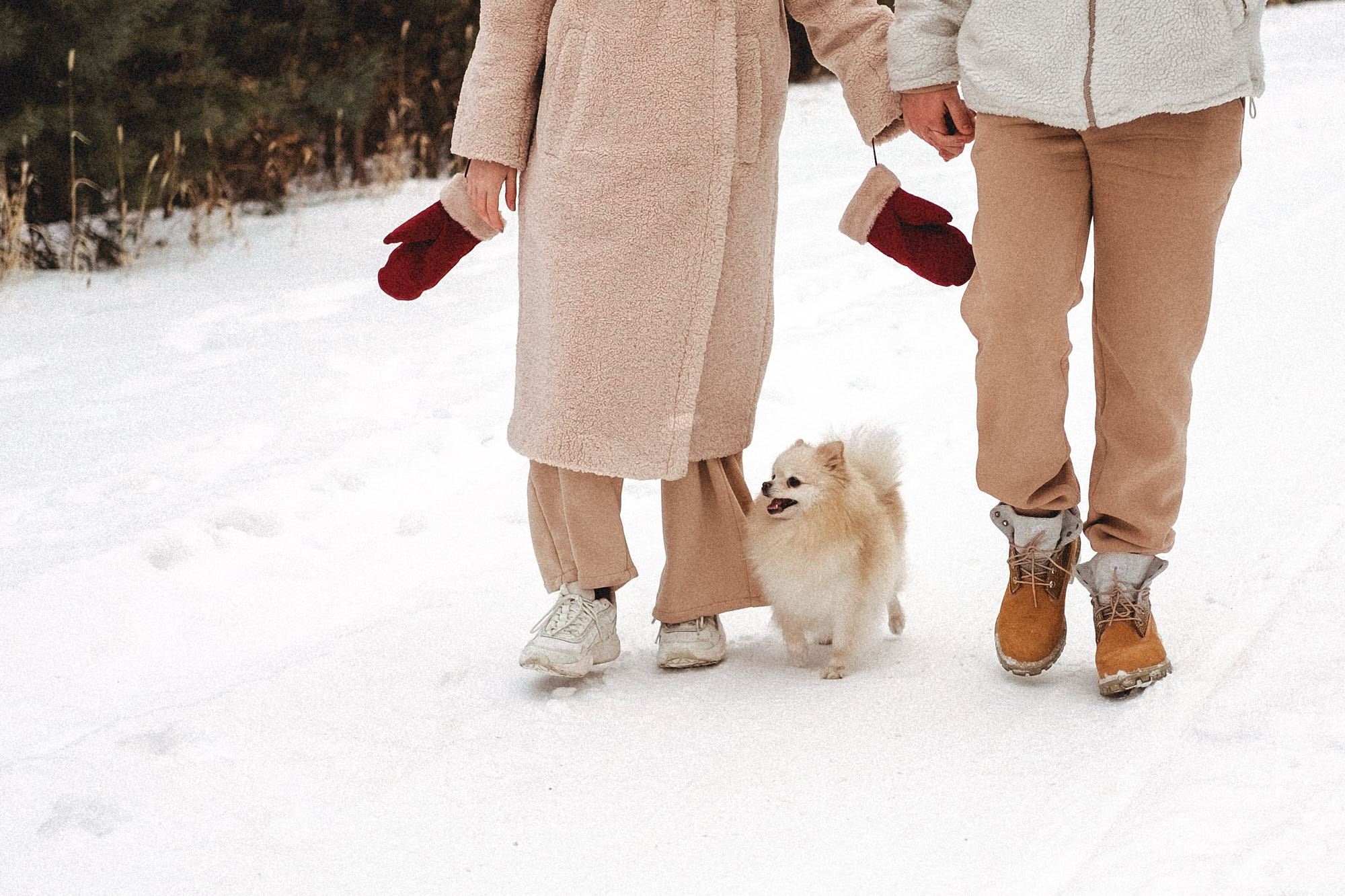 Илона и Никита. Дина Шаткова