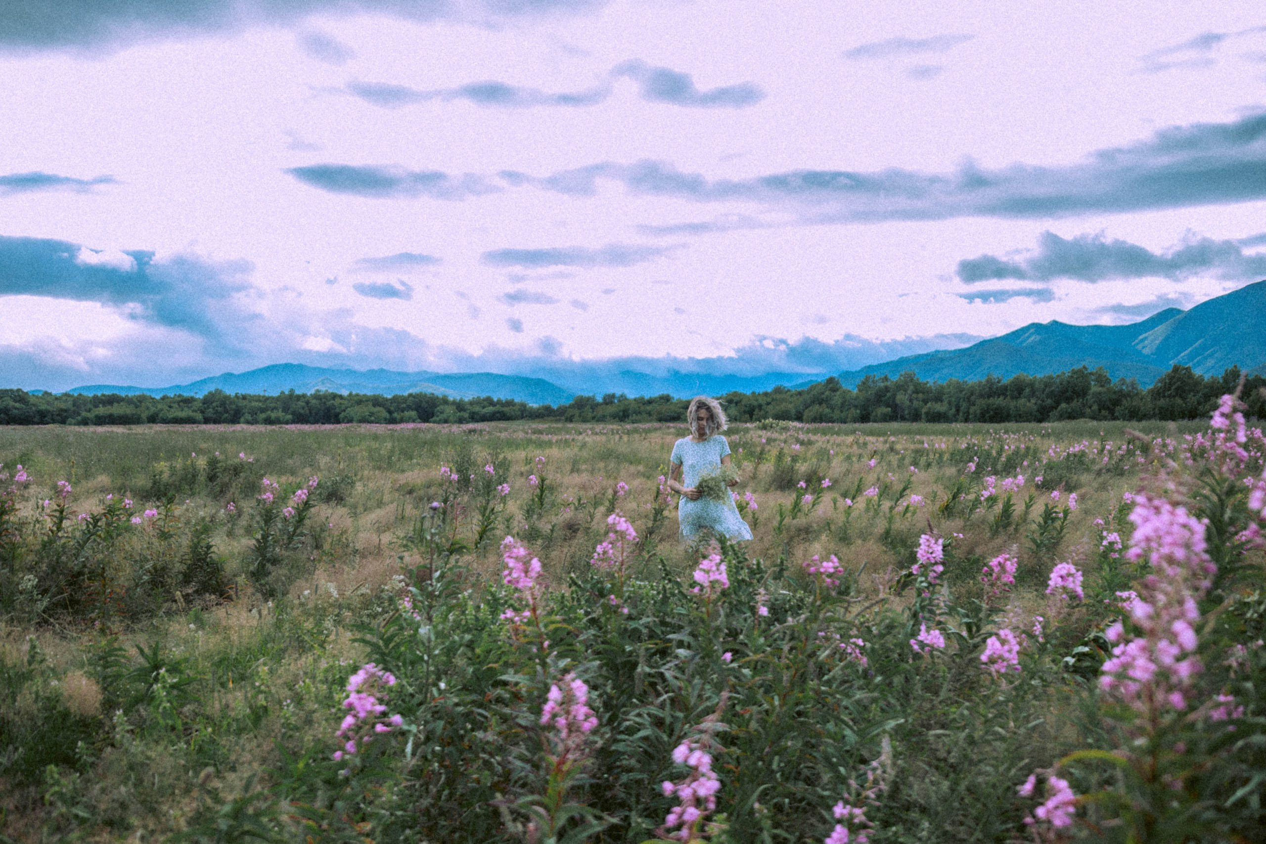 FIELD. Фотограф Даниил Камчатка