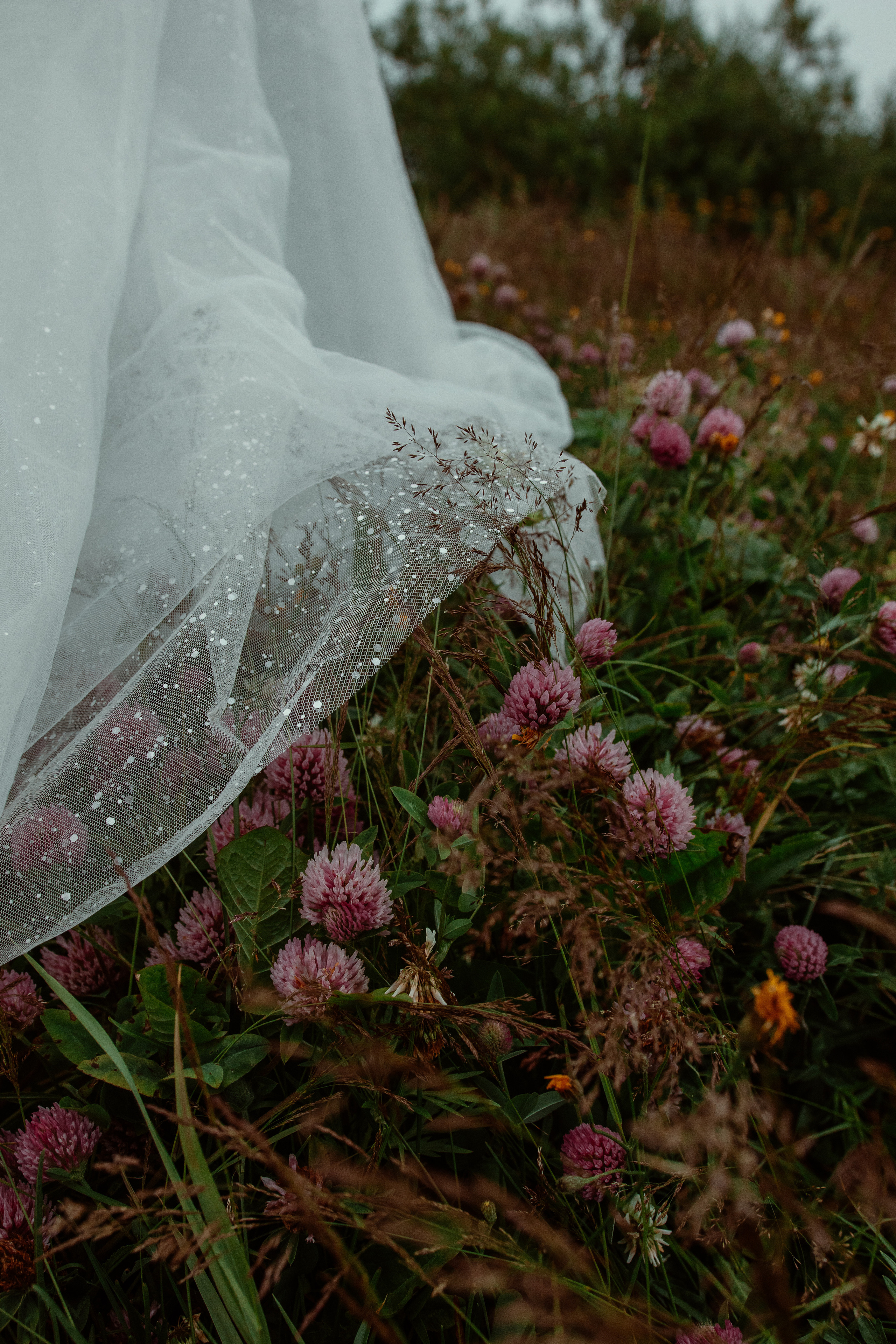 A&O. Фотограф Даниил Камчатка