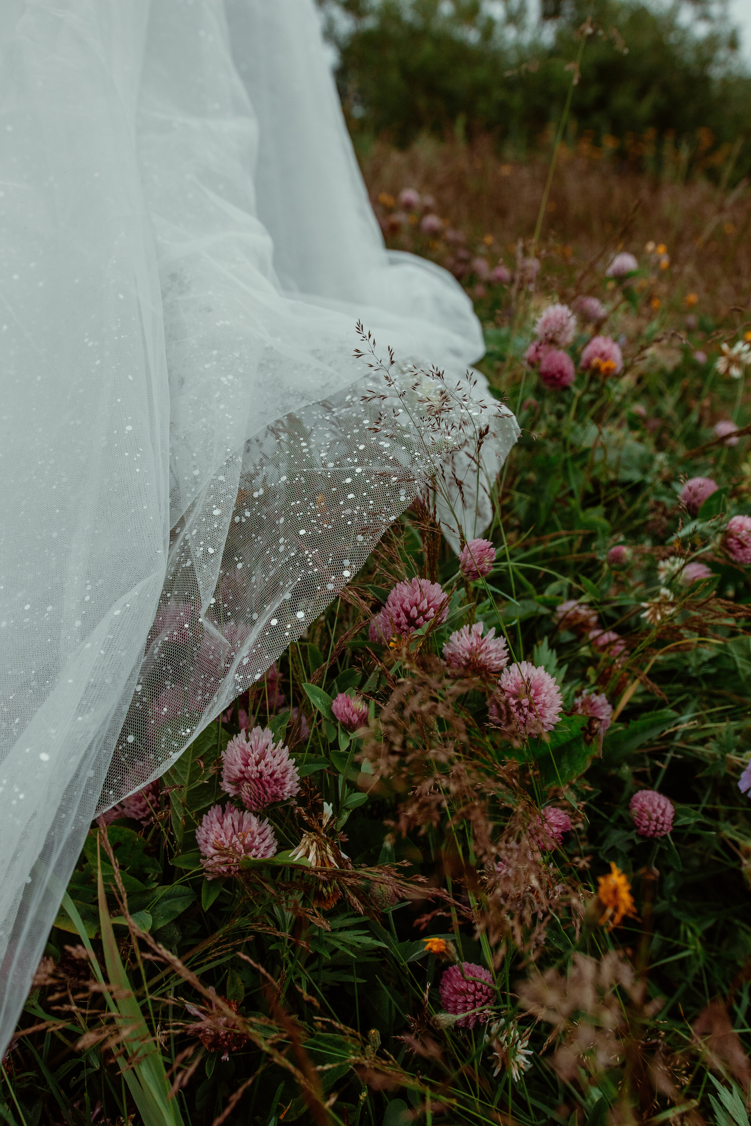 A&O. Фотограф Даниил Камчатка