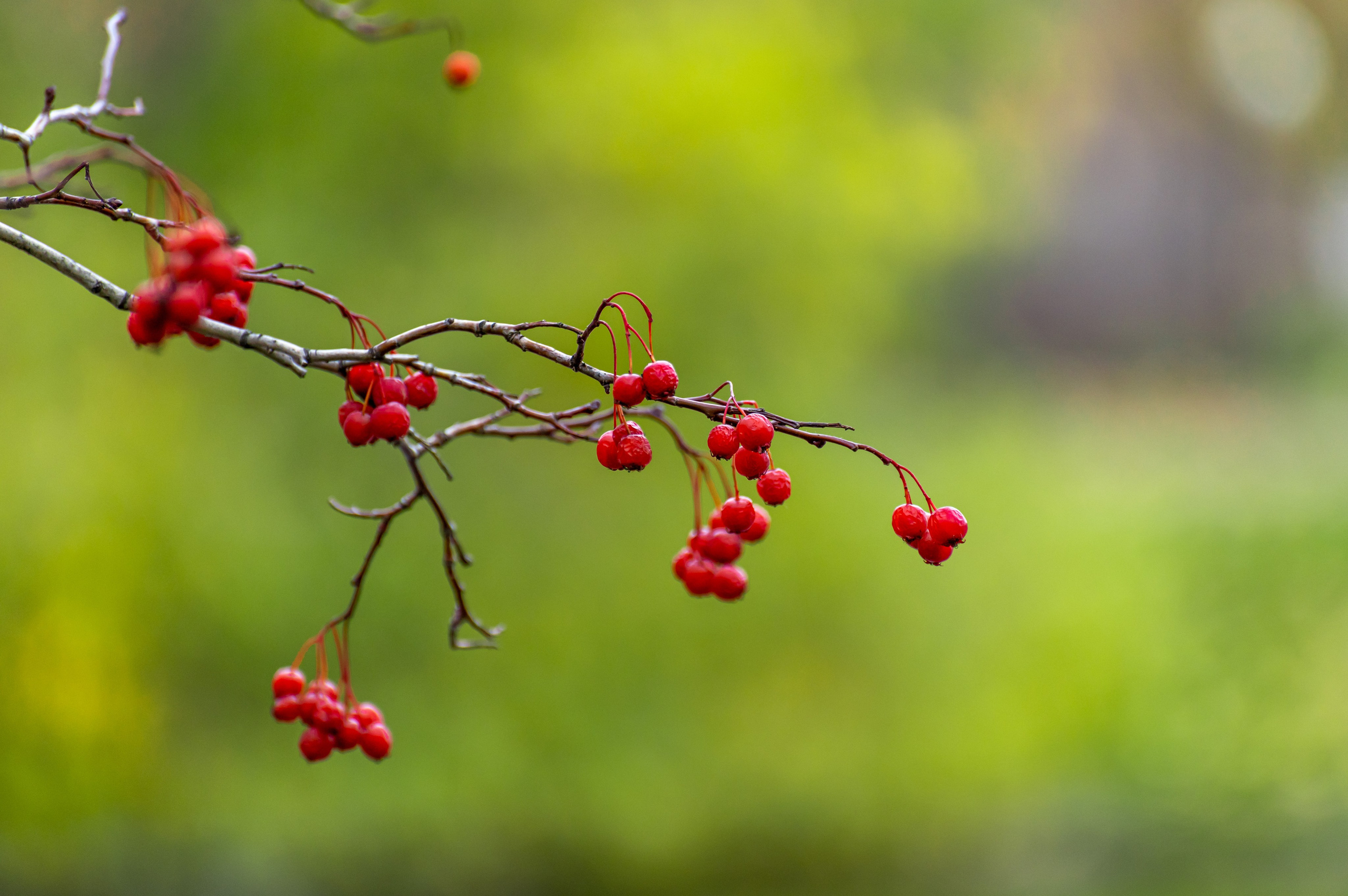20221030 Новодевичий. Дмитрий Ремизов. Фотография, как хобби