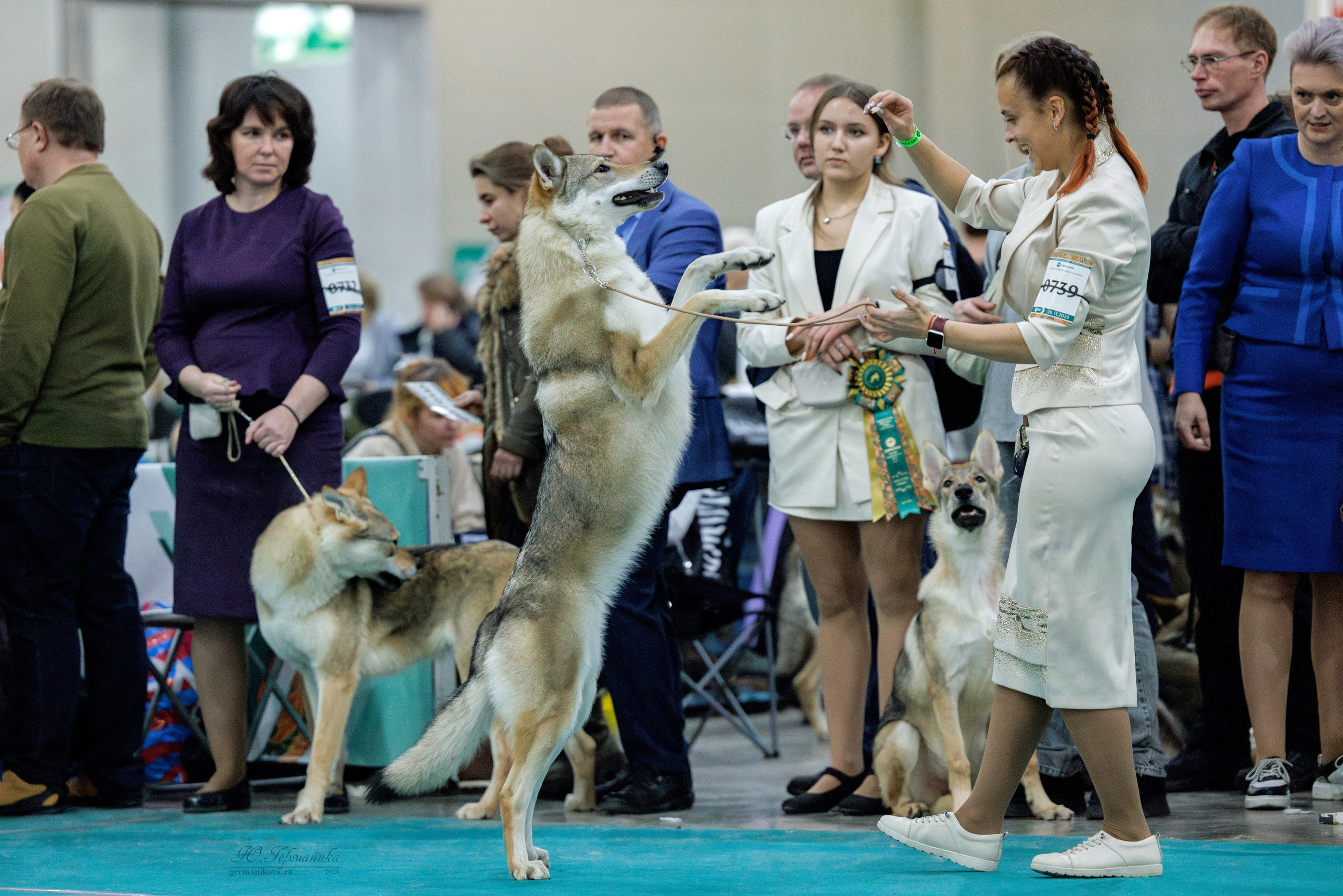Евразия 16-17.11.2024. Фотограф-анималист Юлия Германика