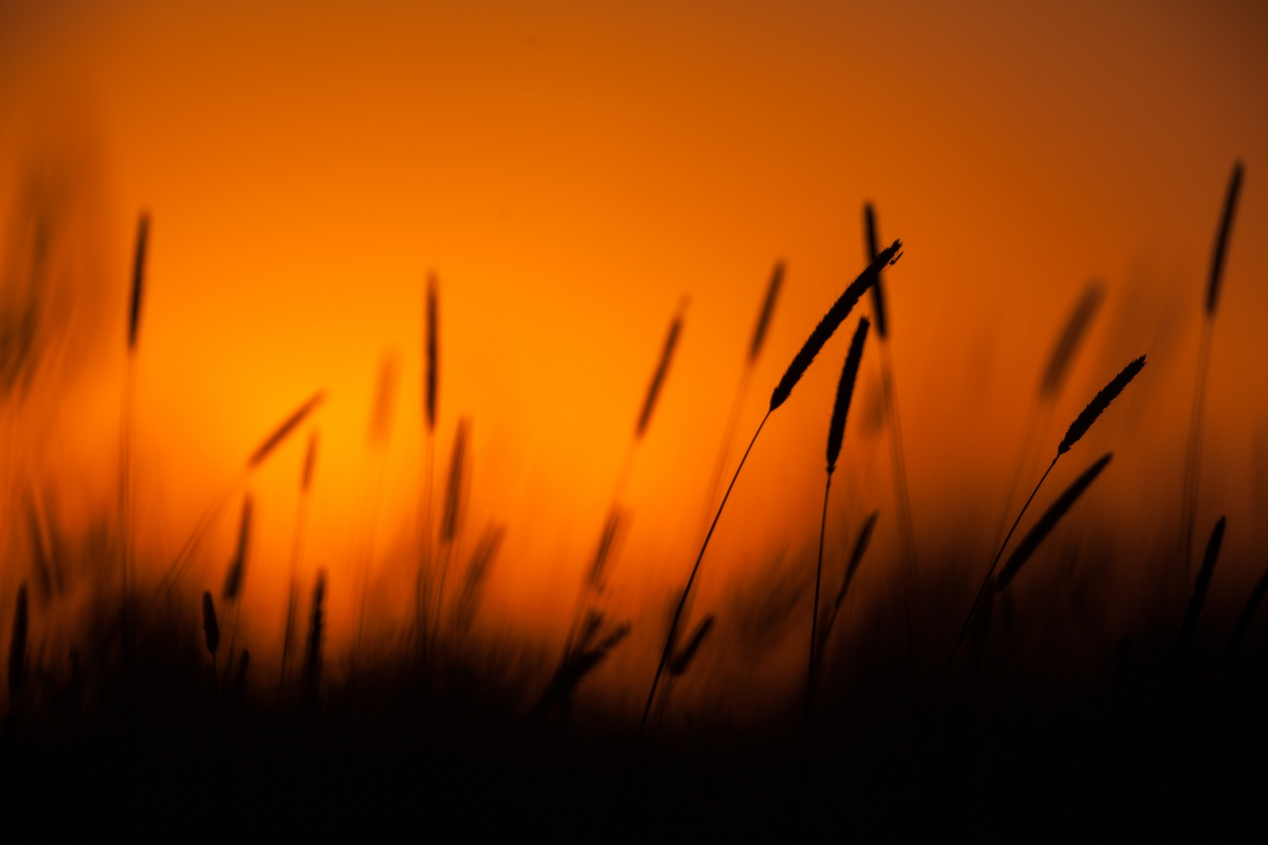 Средняя полоса России. Фотограф Владимир Медведев