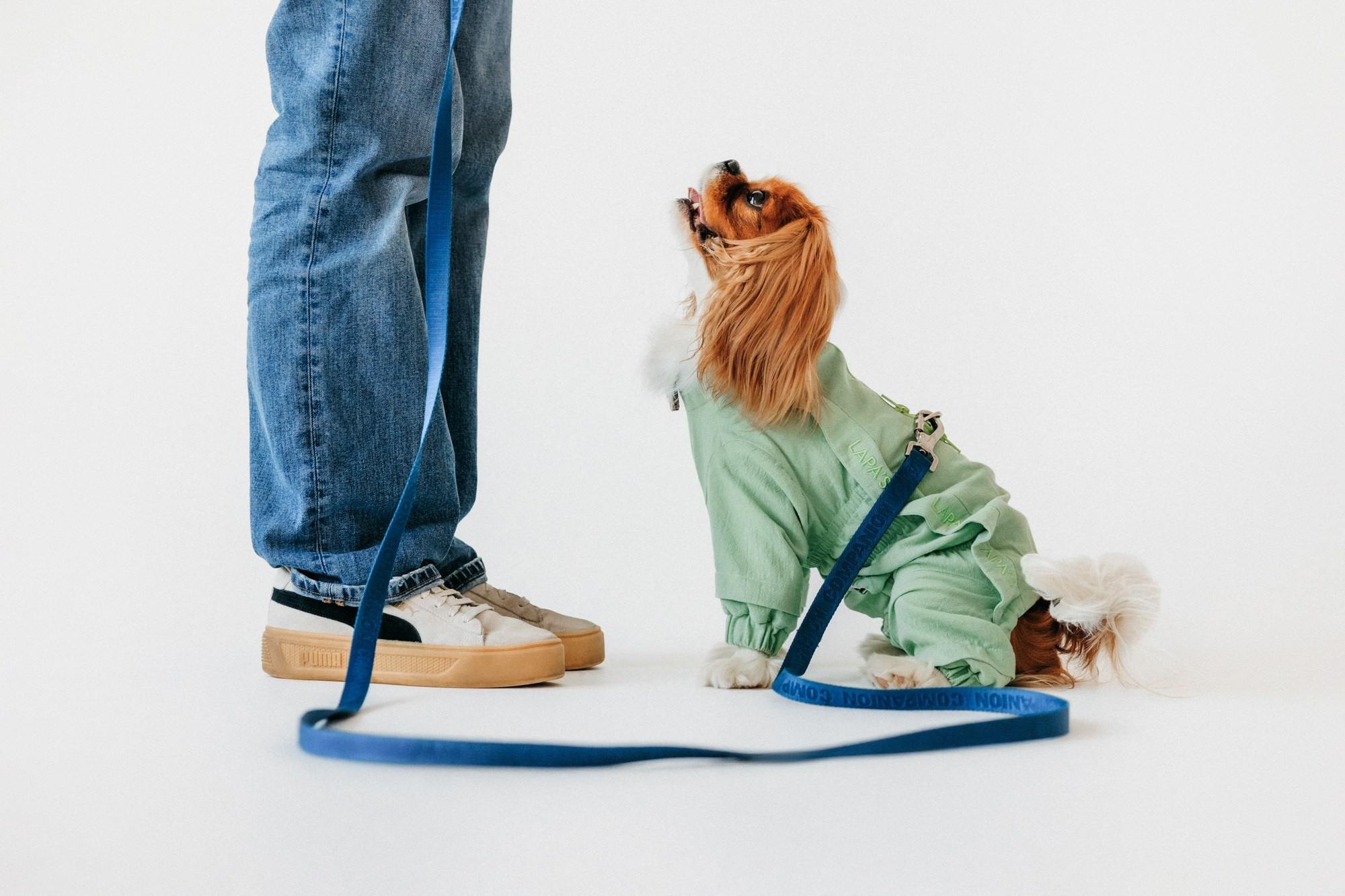 Одежда Lapa`s brand. Фотограф-анималист Елена Радченко, Москва