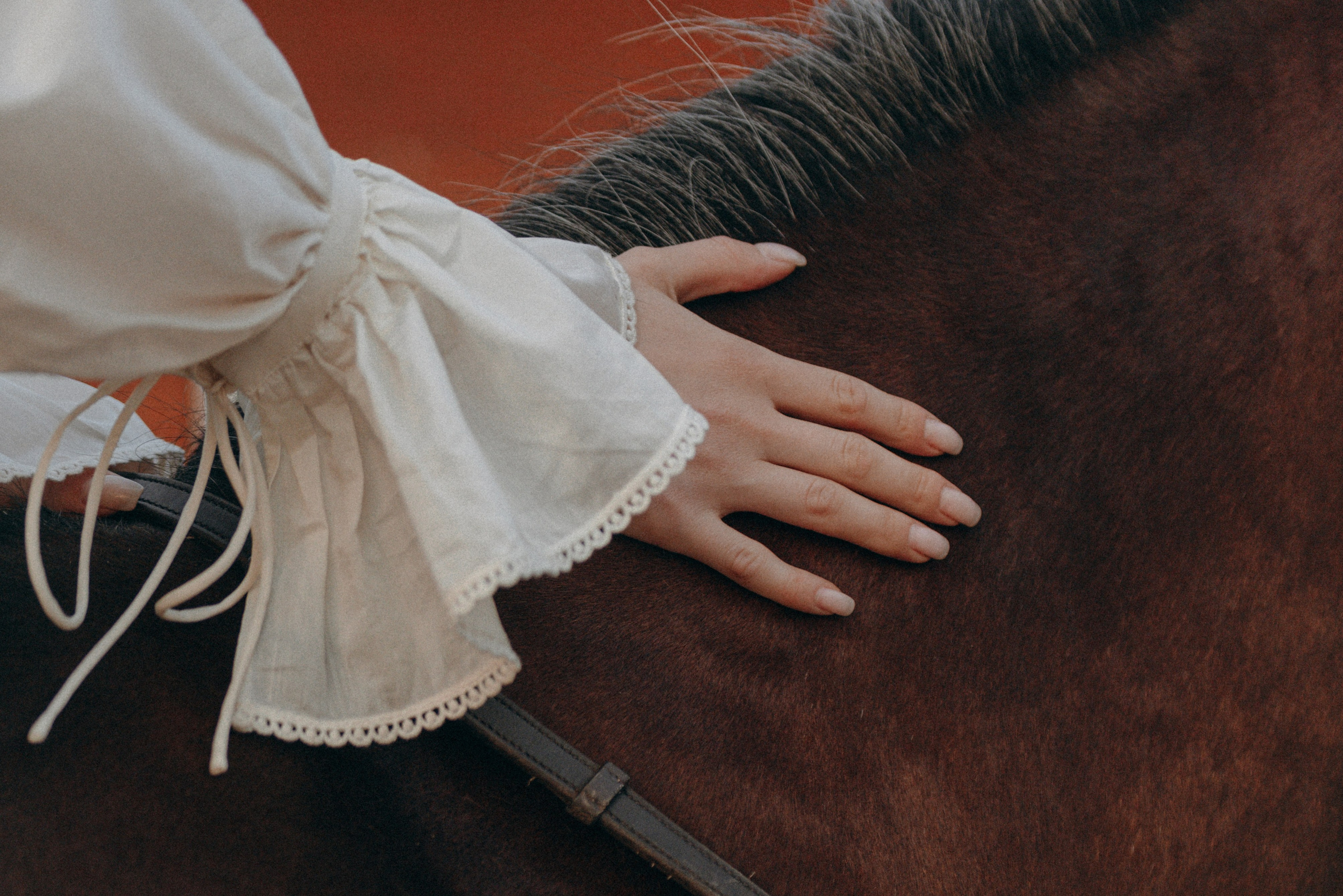 Соня и Лоли Поп. MariaGohri — Конный фотограф, анималист, Рязань