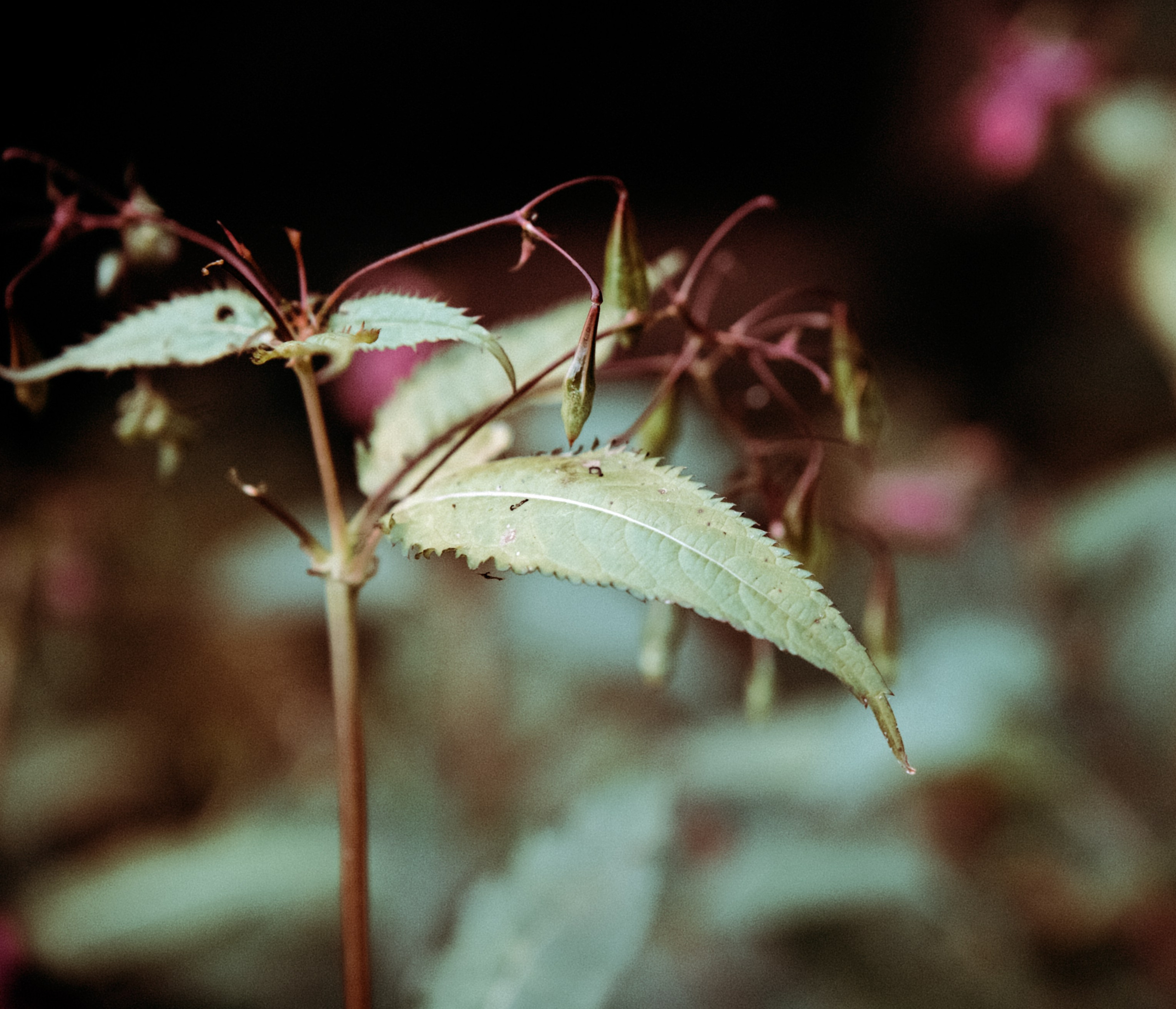 Осень 2025. Фотограф из Москвы — DASHA NOVA | Авторская фотография в разных жанрах
