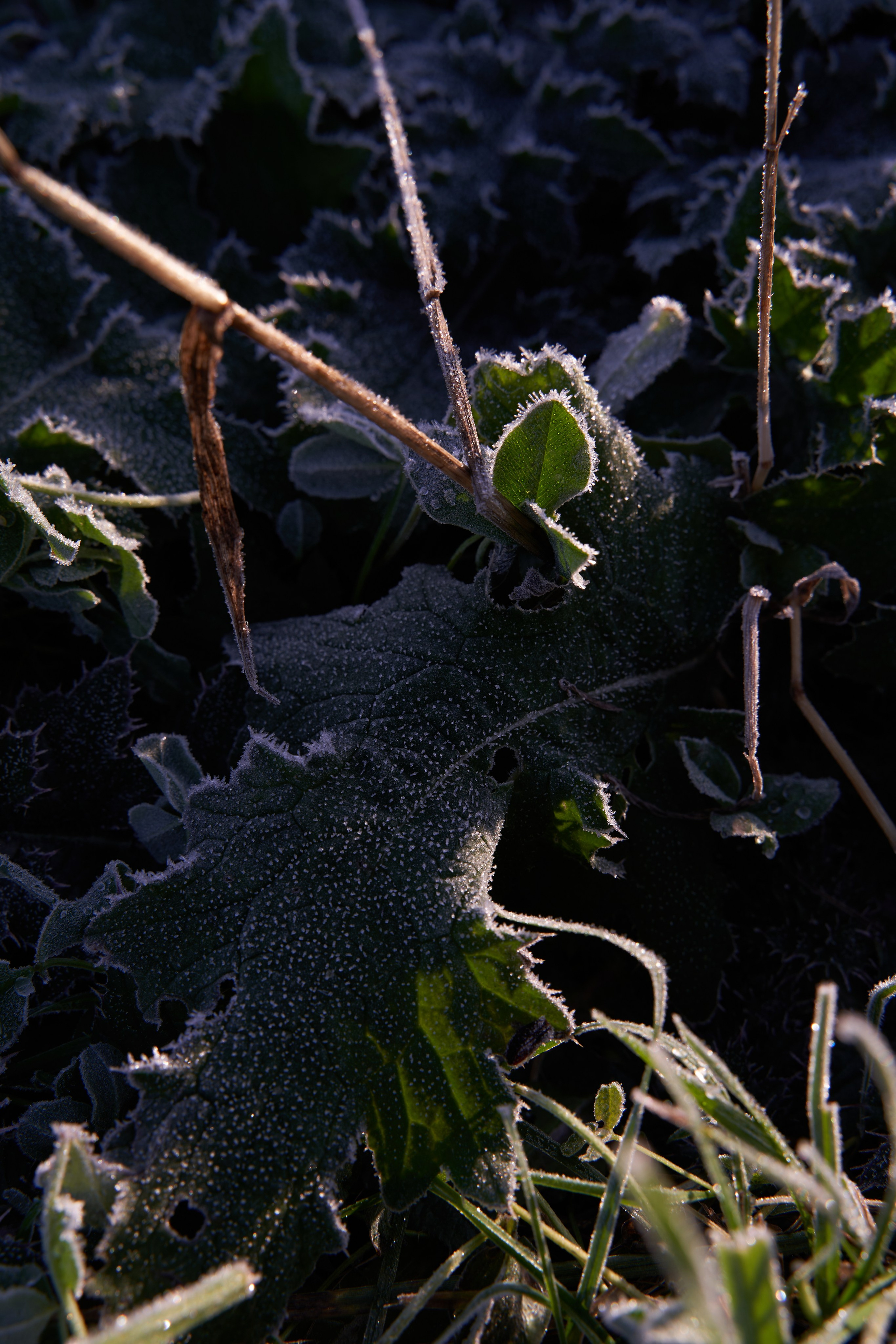 Бекстейдж съемки сериала. Krasnopoliophoto