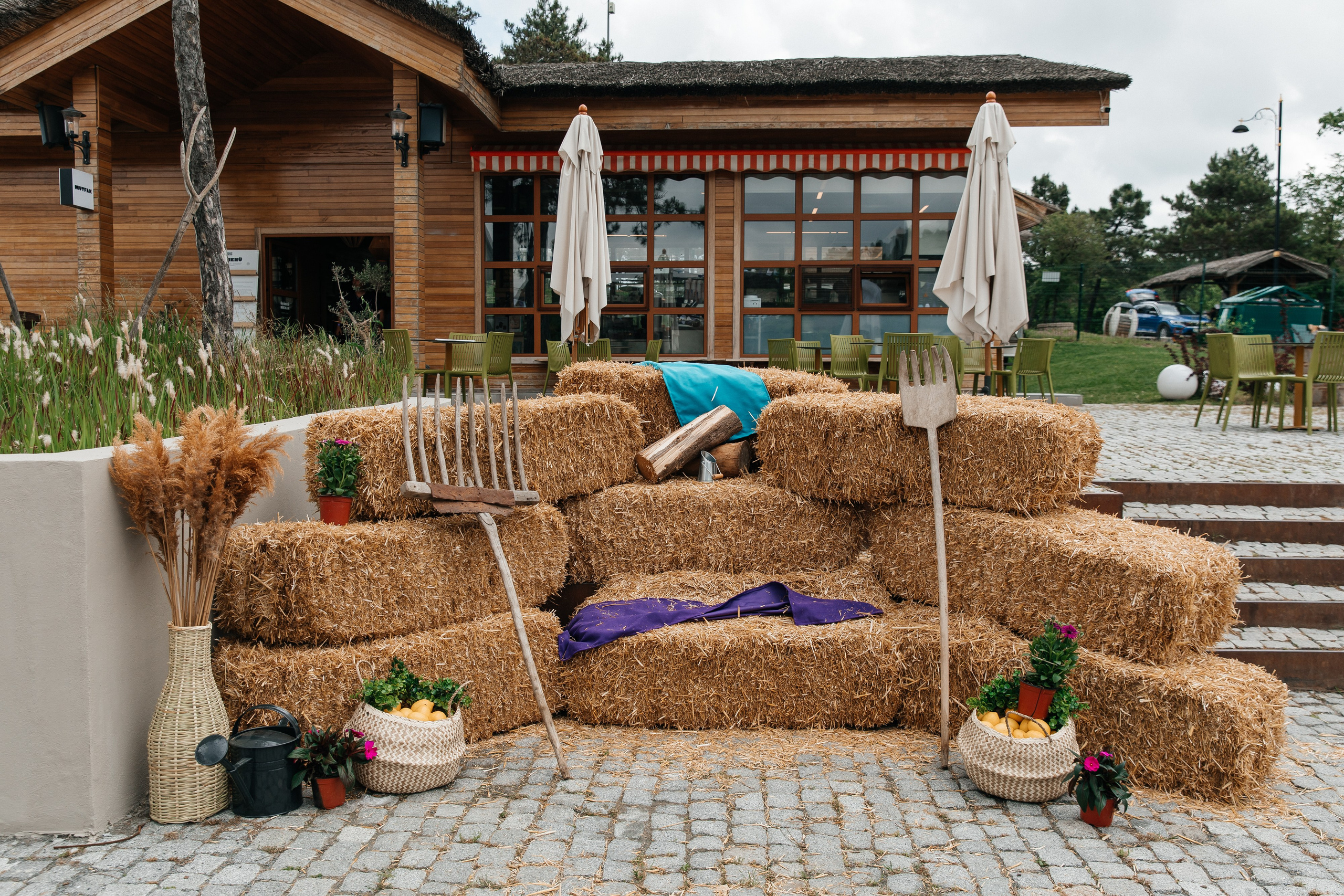 Yandex Family Day. Свадебный и репортажный фотограф