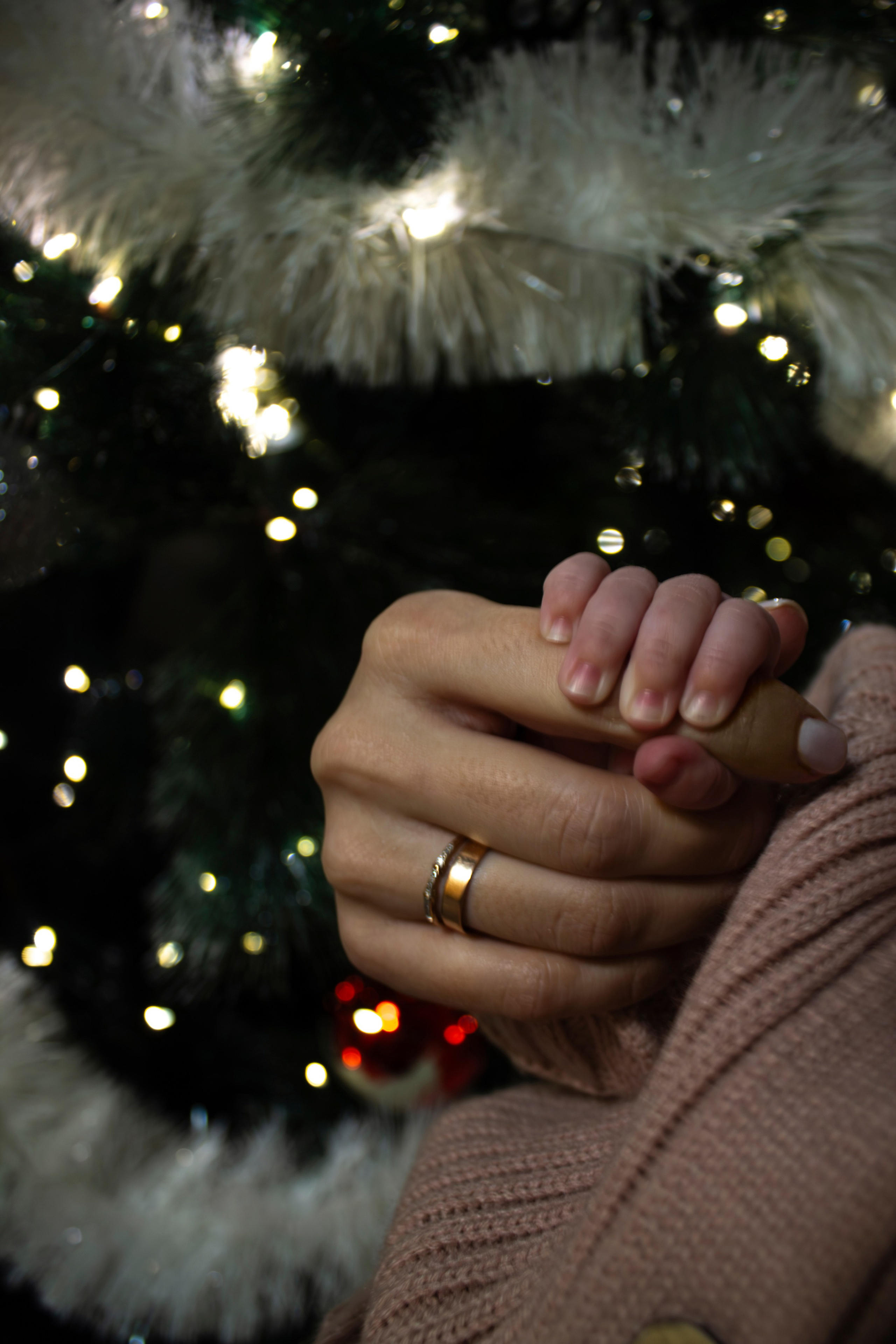 Семейная фотосессия. Свадебный и семейный фотограф Бологое Тверь — Ninel